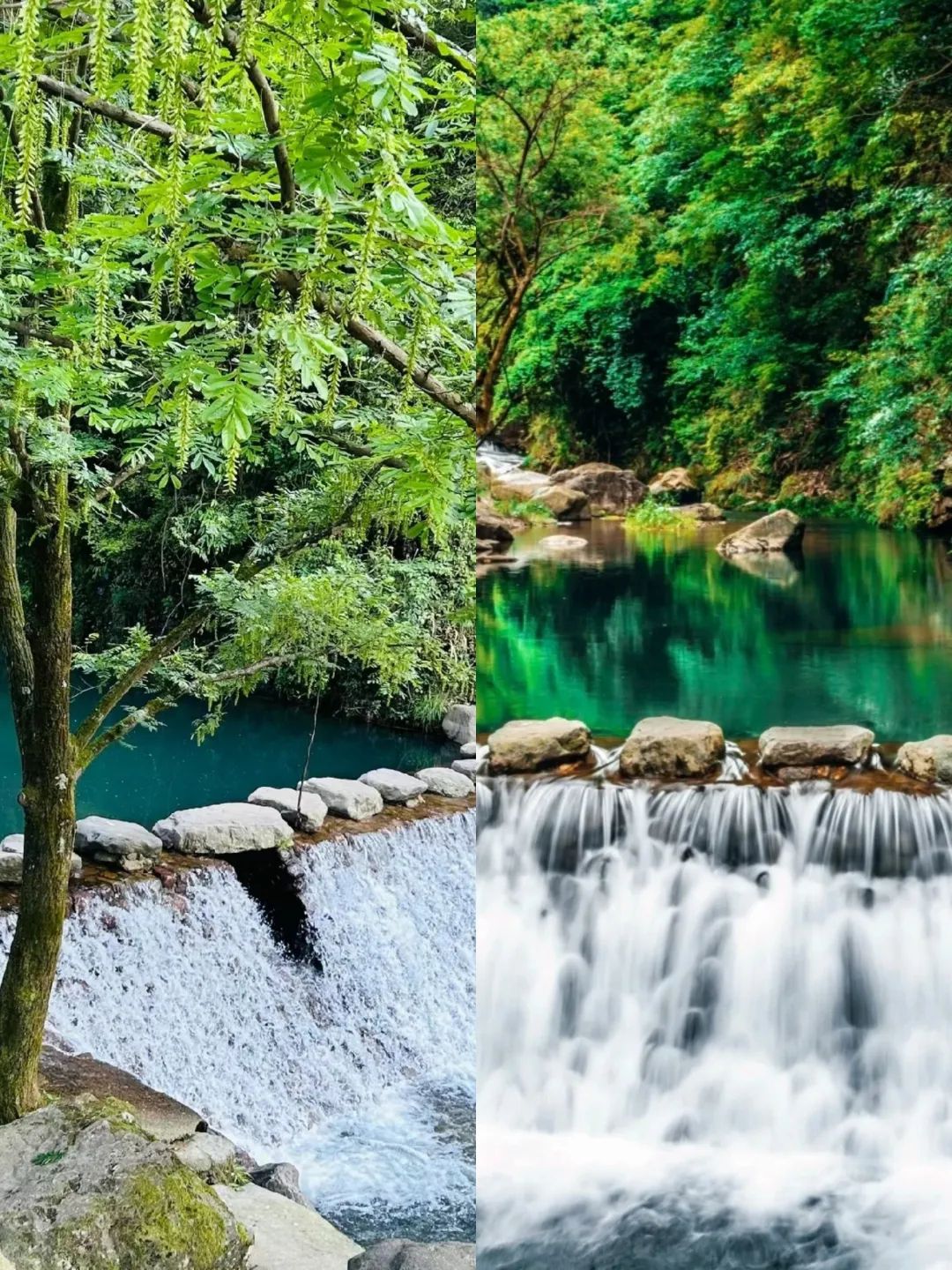 金华市磐安县百杖潭景区旅行图片 2