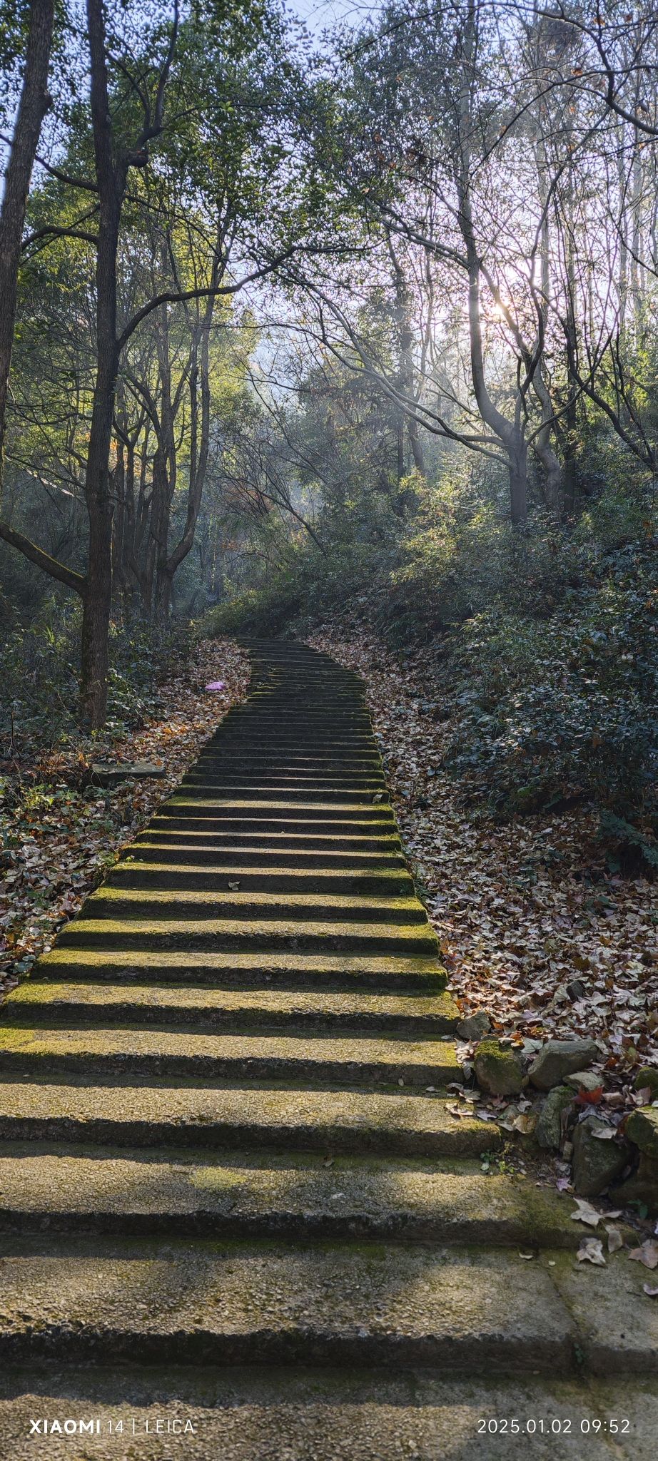 鹅峰山风景区旅行图片 3