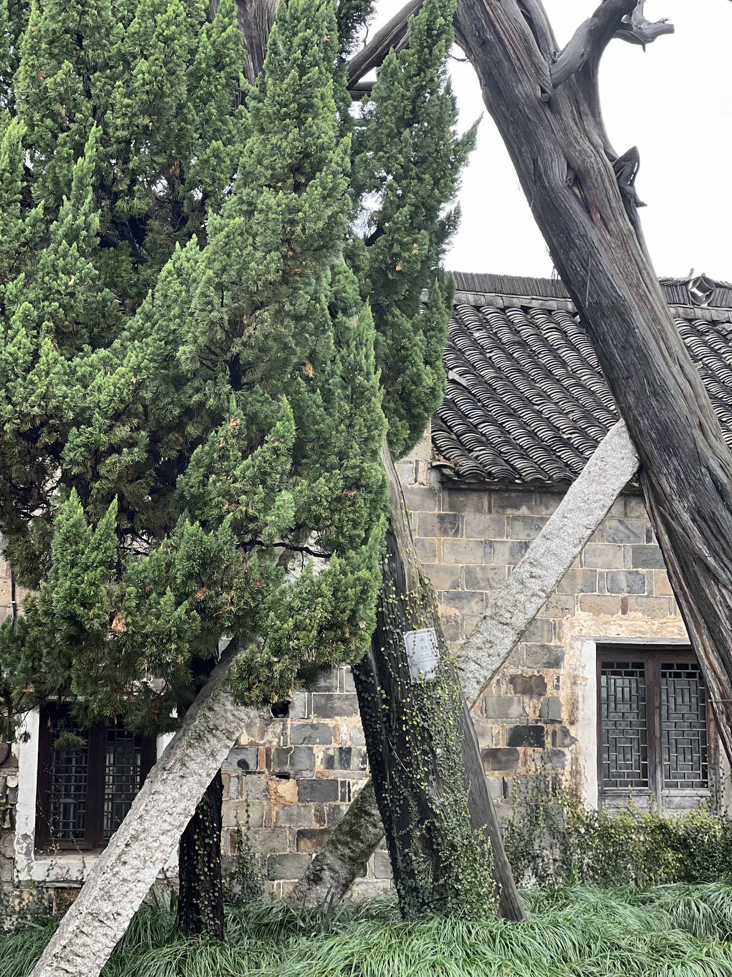 江南第一家旅行图片 3