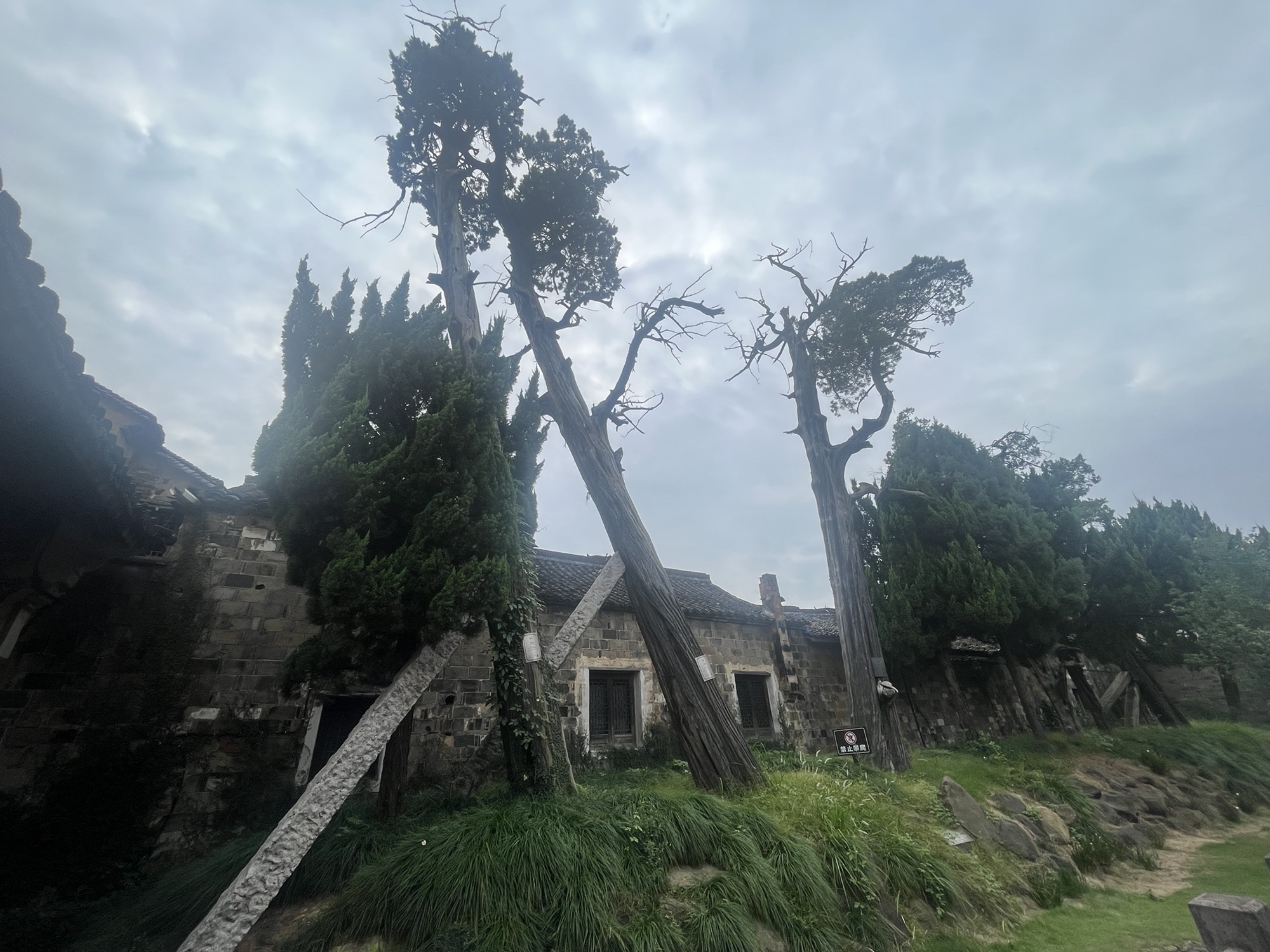 江南第一家旅行图片 2