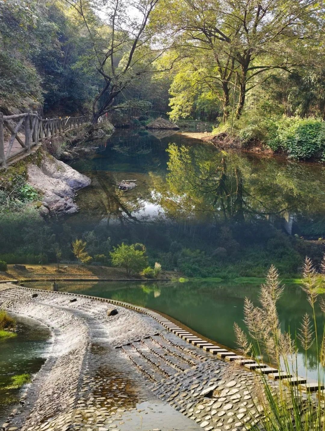仙源湖旅游度假区旅行图片 1
