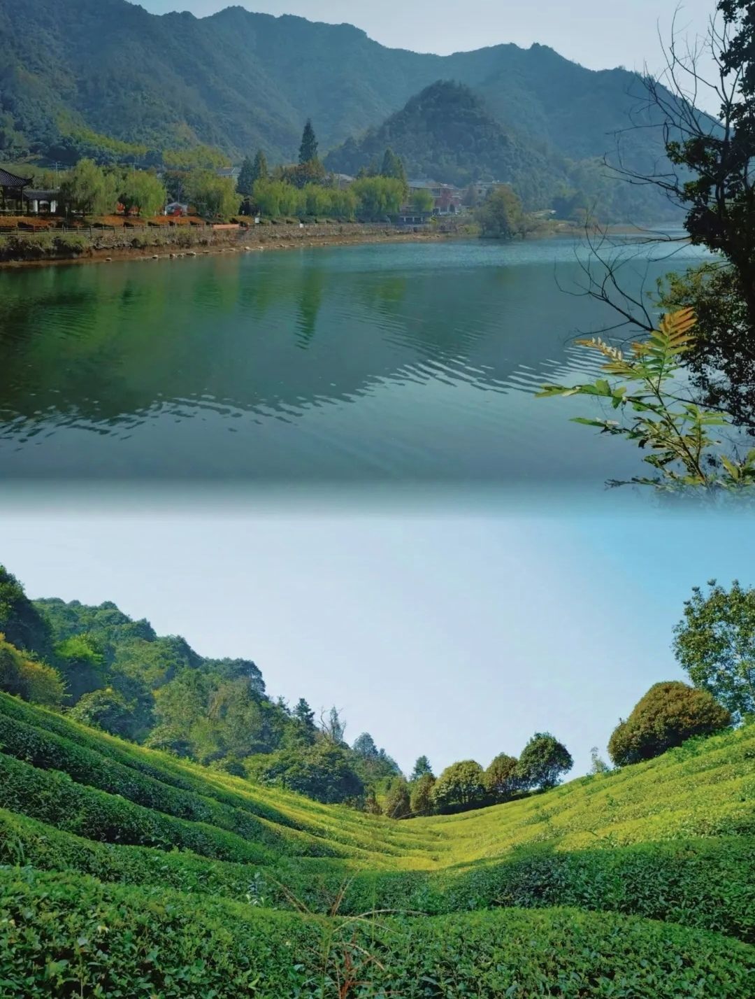 仙源湖旅游度假区旅行图片 2