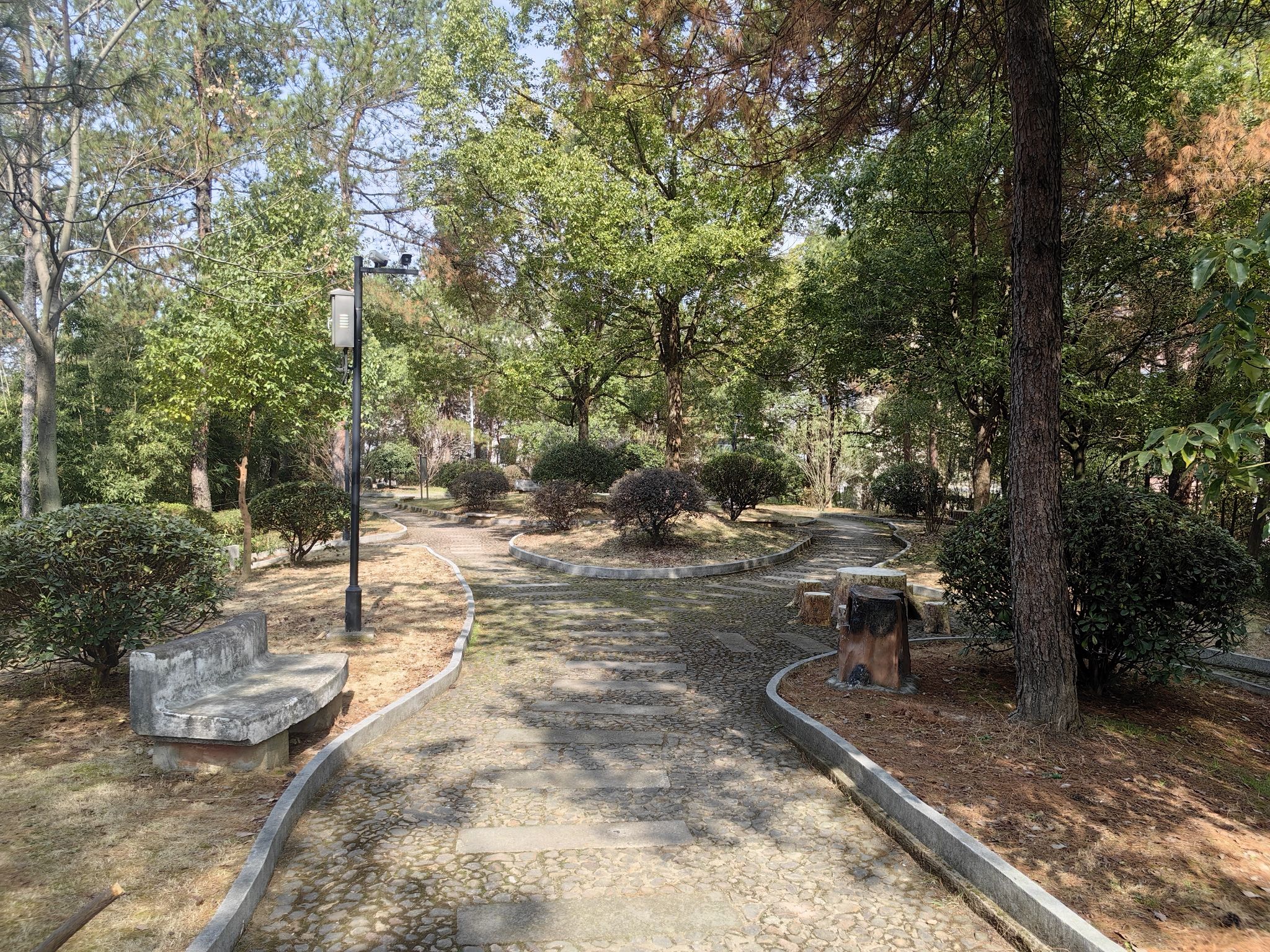 龙鸣风景区旅行图片 2