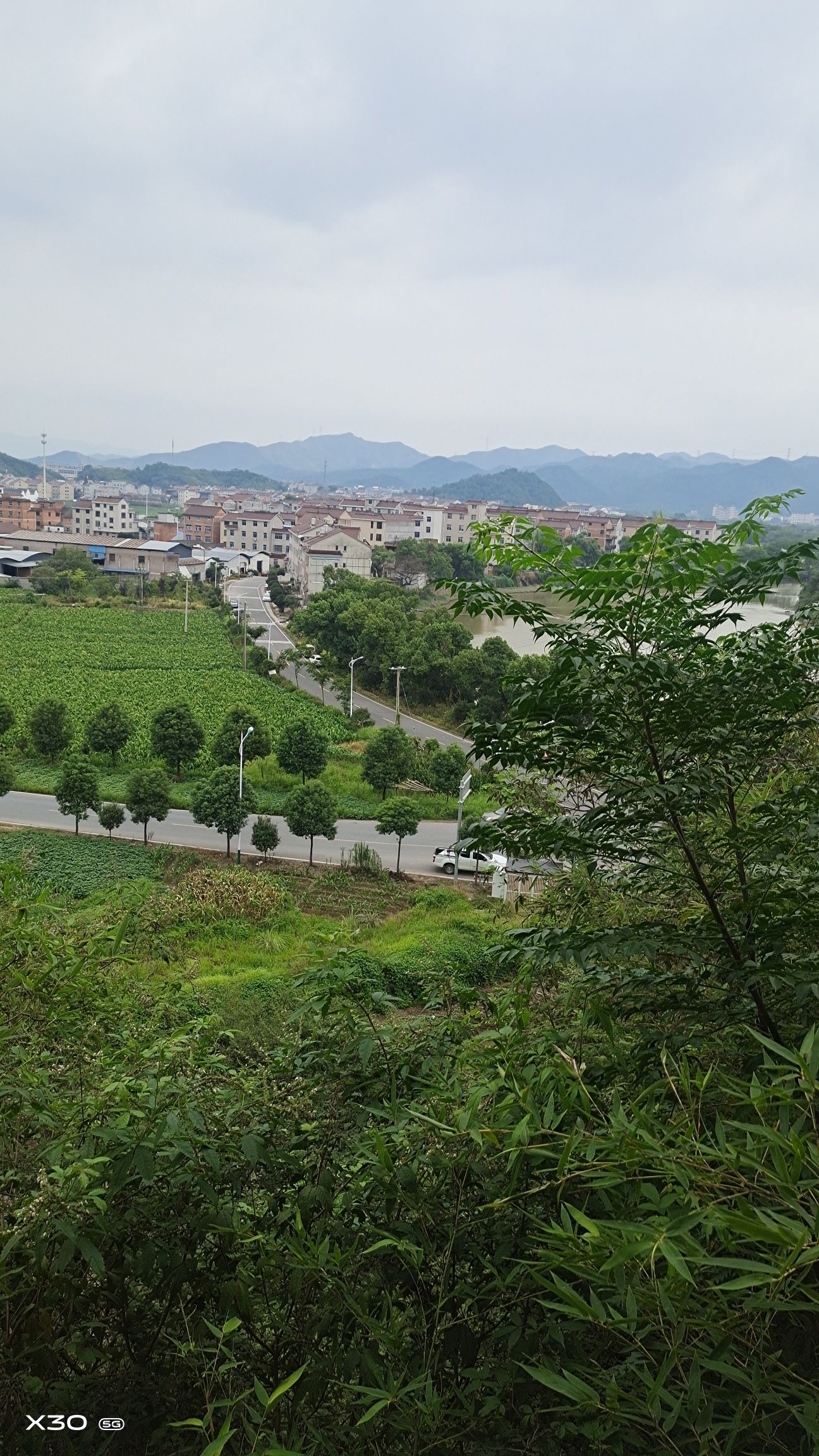 金鸡公园旅行图片 1