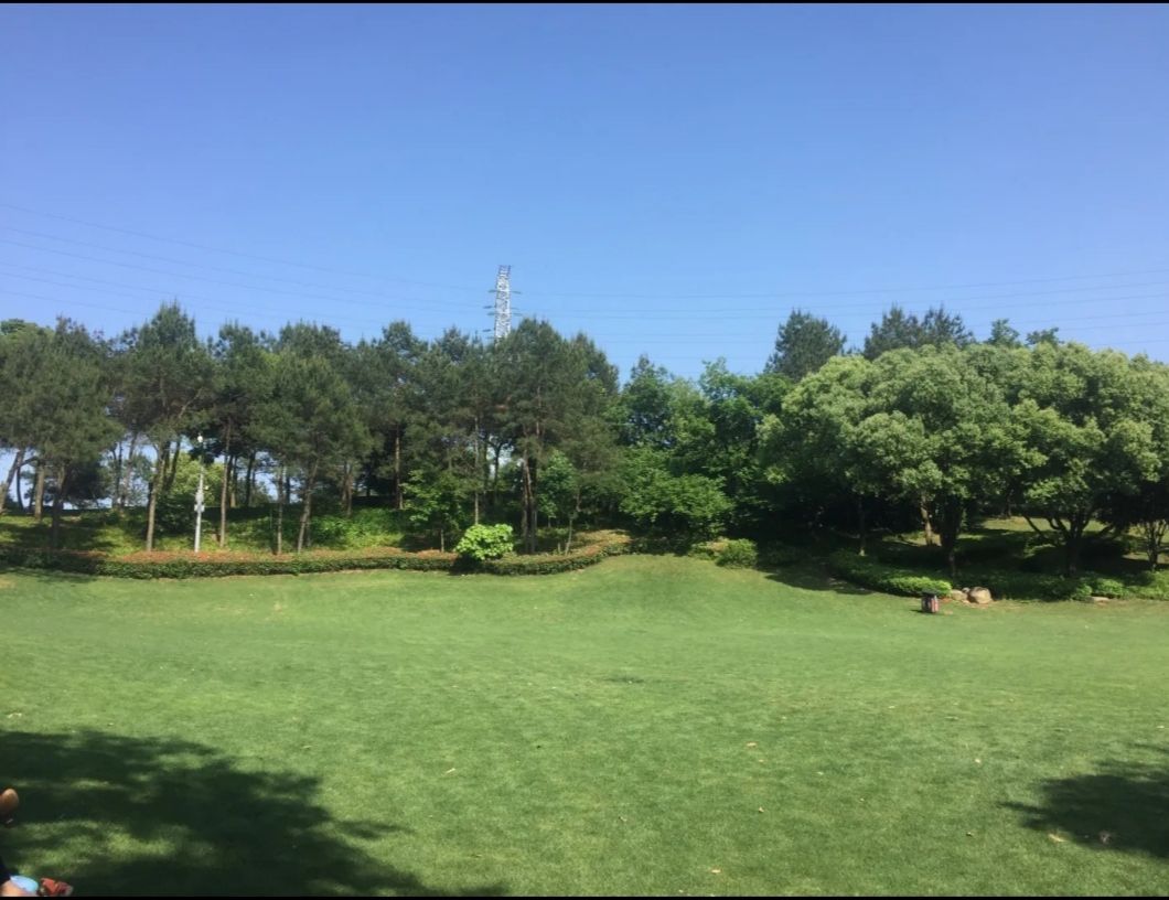 环北公园旅行图片 3