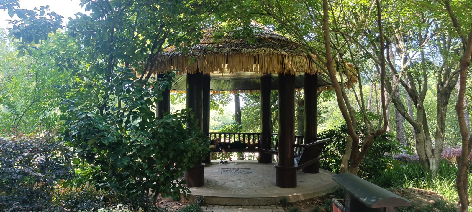 环北公园旅行图片 1
