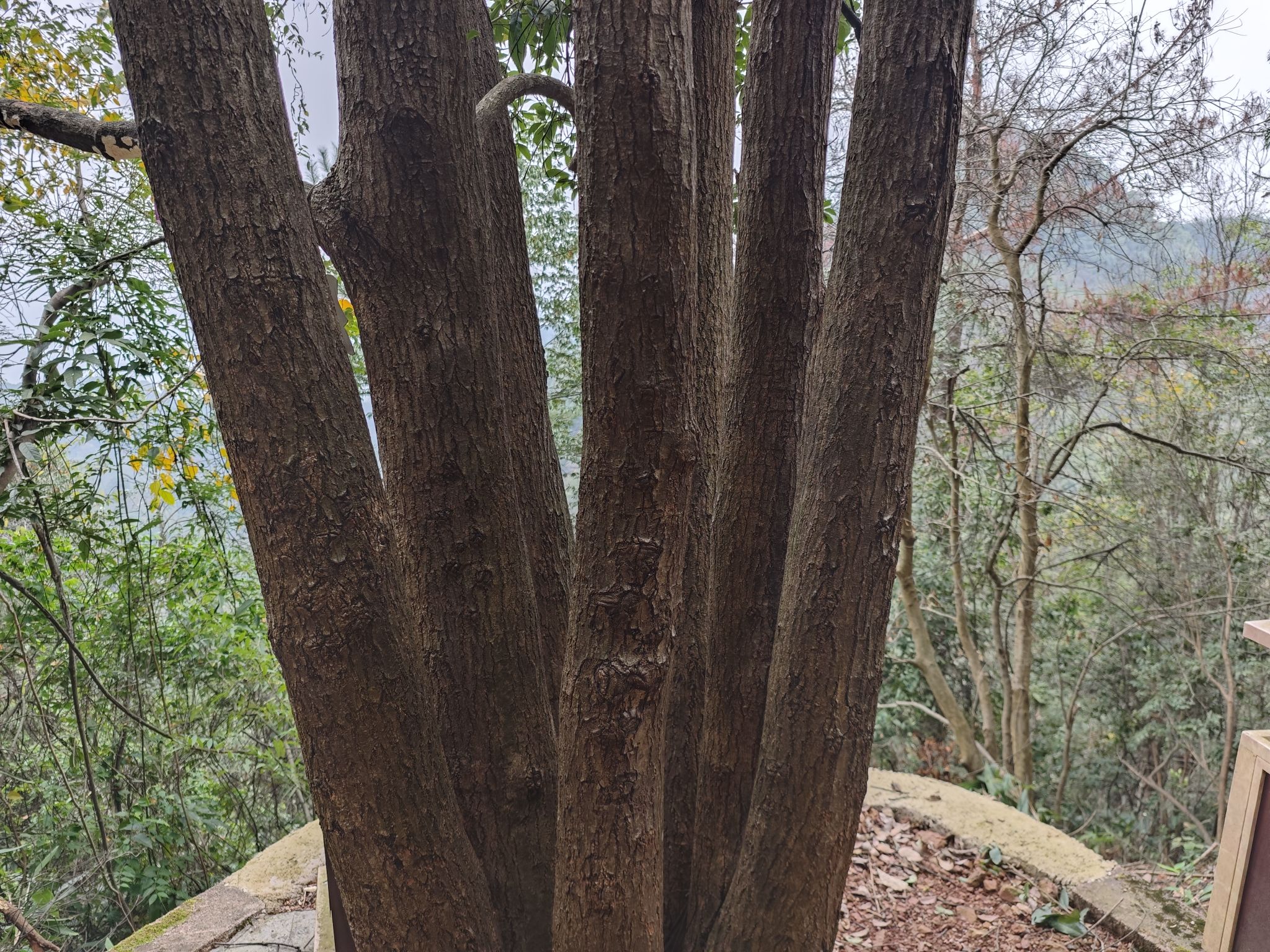 大红岩·崆峒山景区旅行图片 3