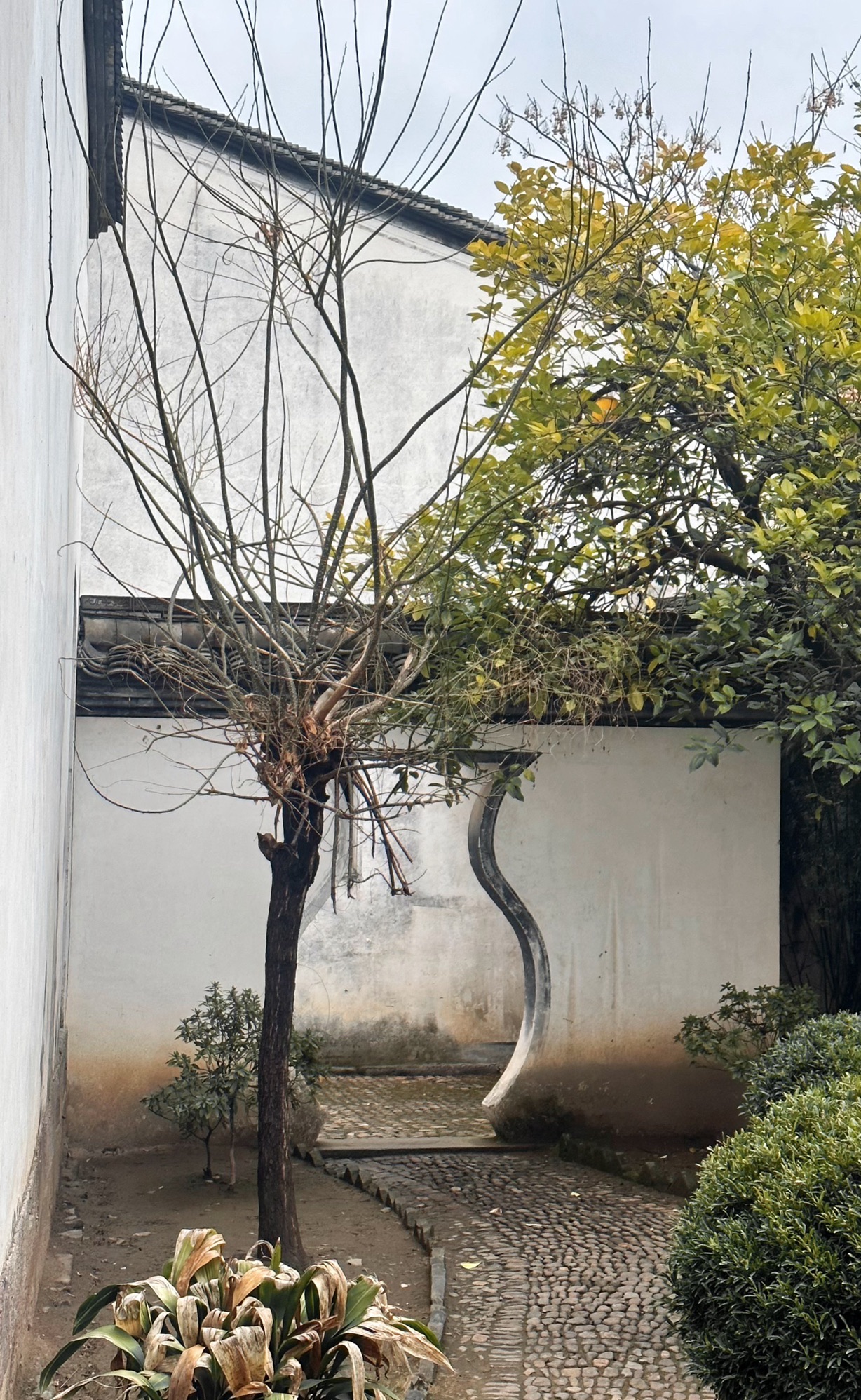卢宅旅行图片 1