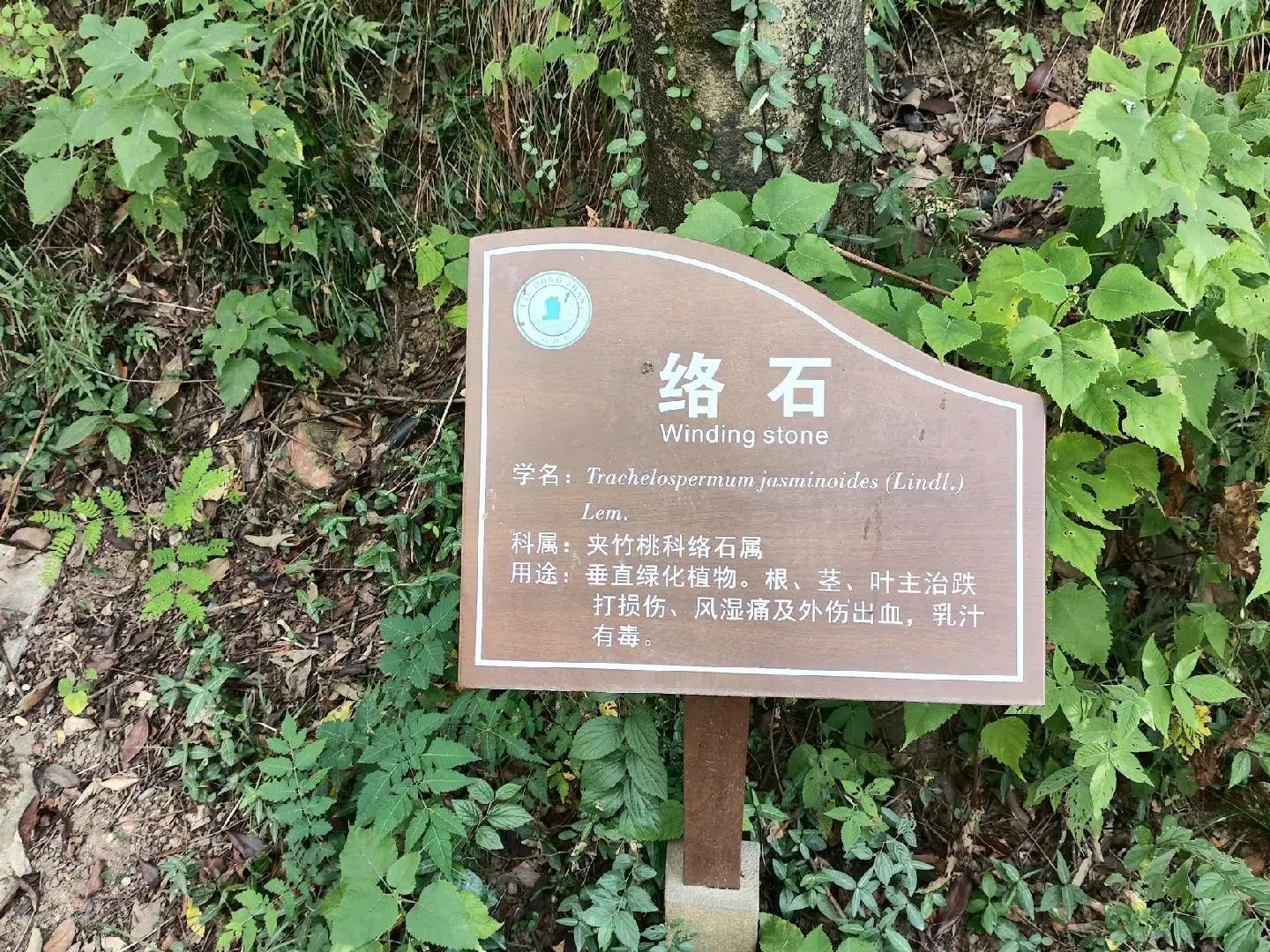 六洞山风景区旅行图片 3