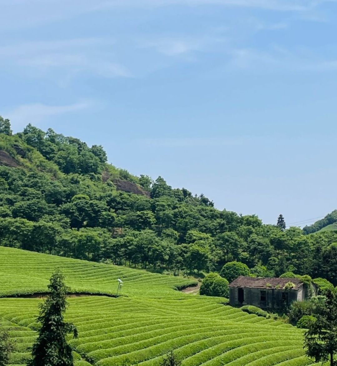 石鹅岩旅行图片 2
