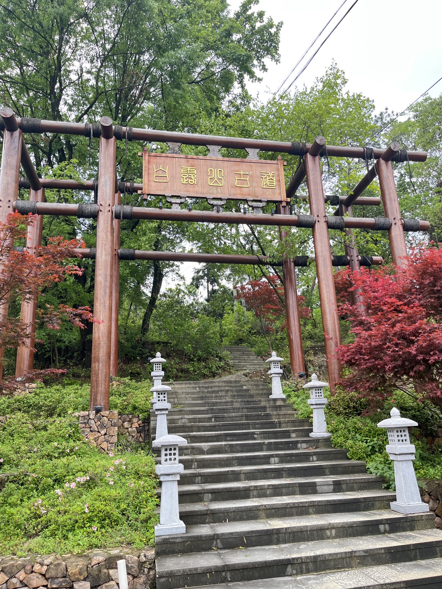 白露山风景区旅行图片 1