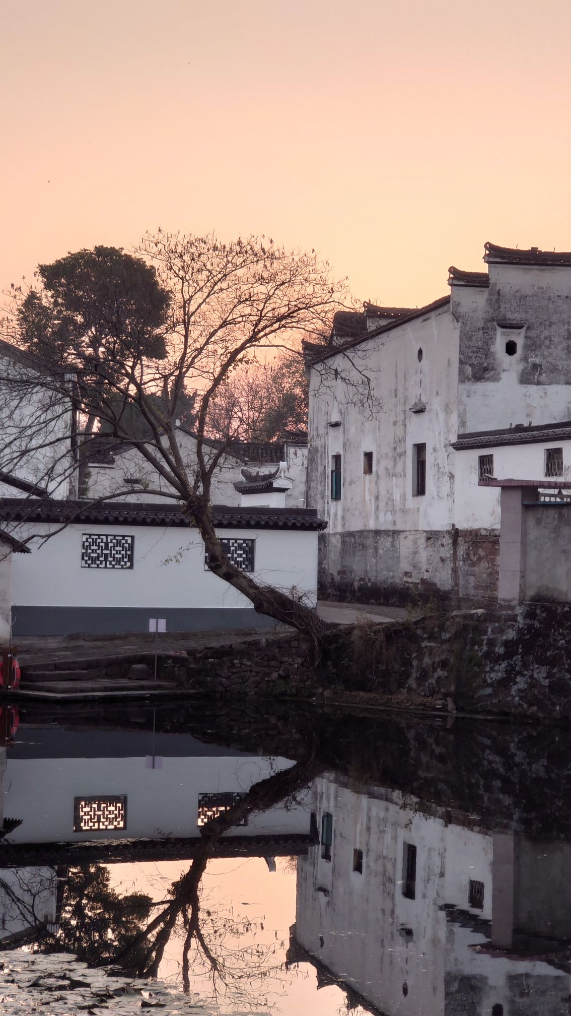 诸葛八卦村景区旅行图片 3