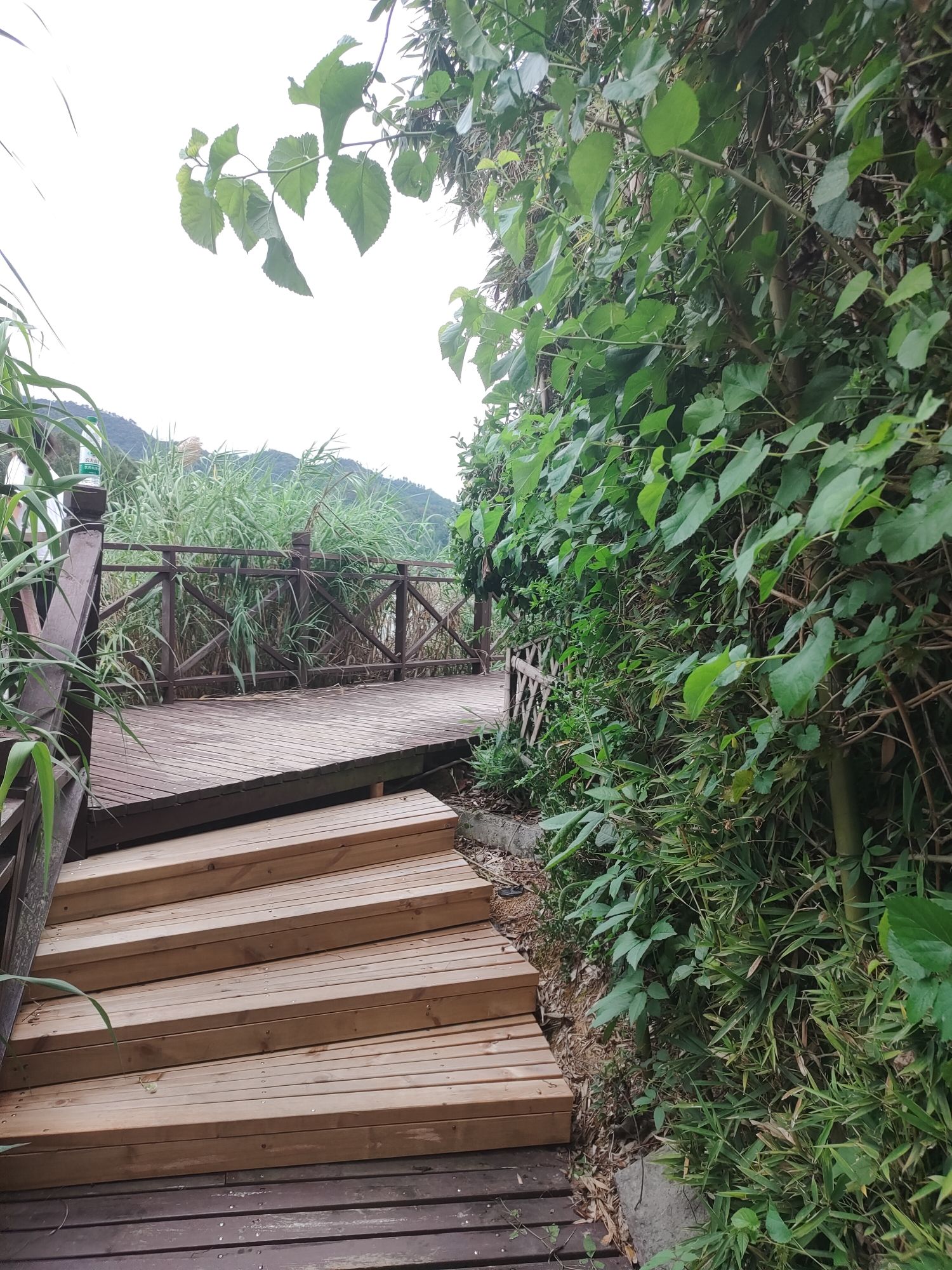 通济湖风景区旅行图片 2