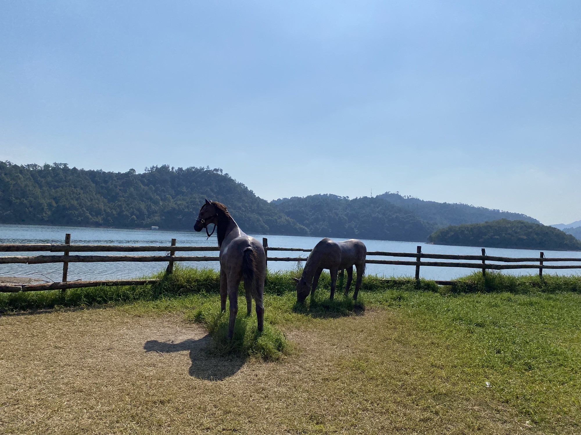 通济湖风景区旅行图片 2