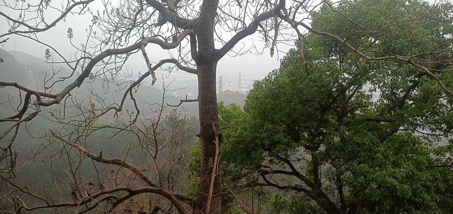 官岩山风景区旅行图片 2