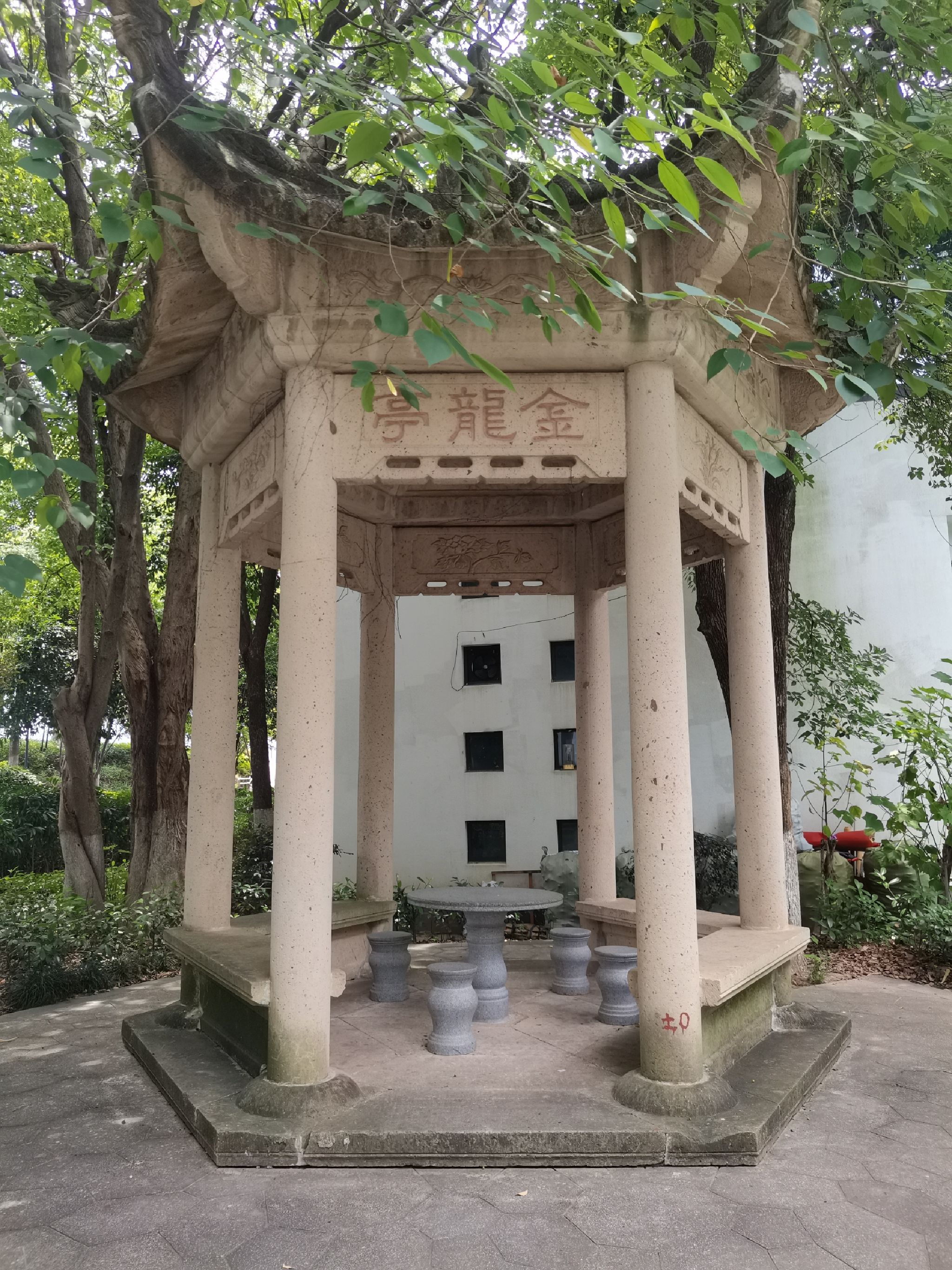 金龙湾公园旅行图片 1