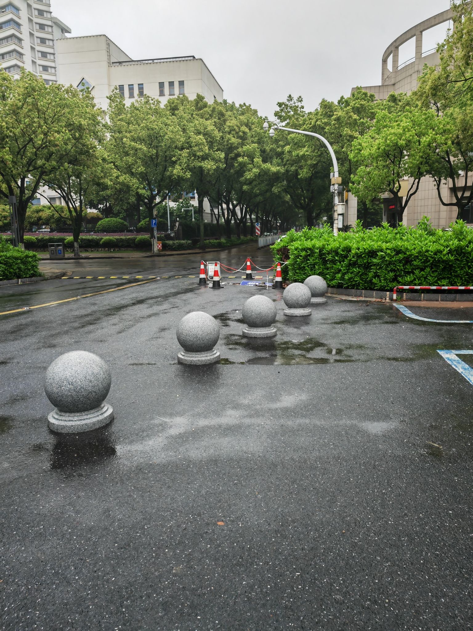 市民广场旅行图片 2