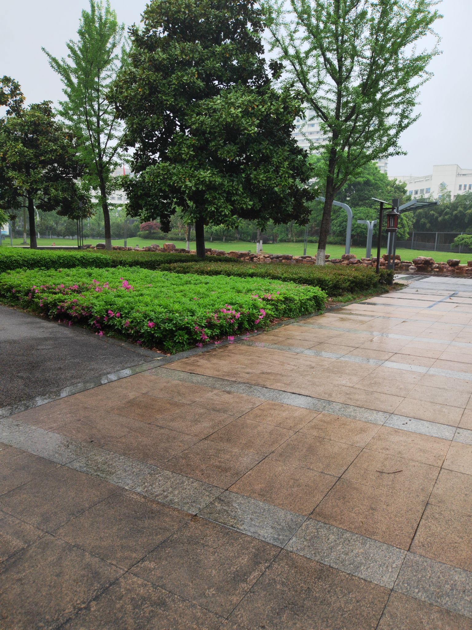 市民广场旅行图片 3