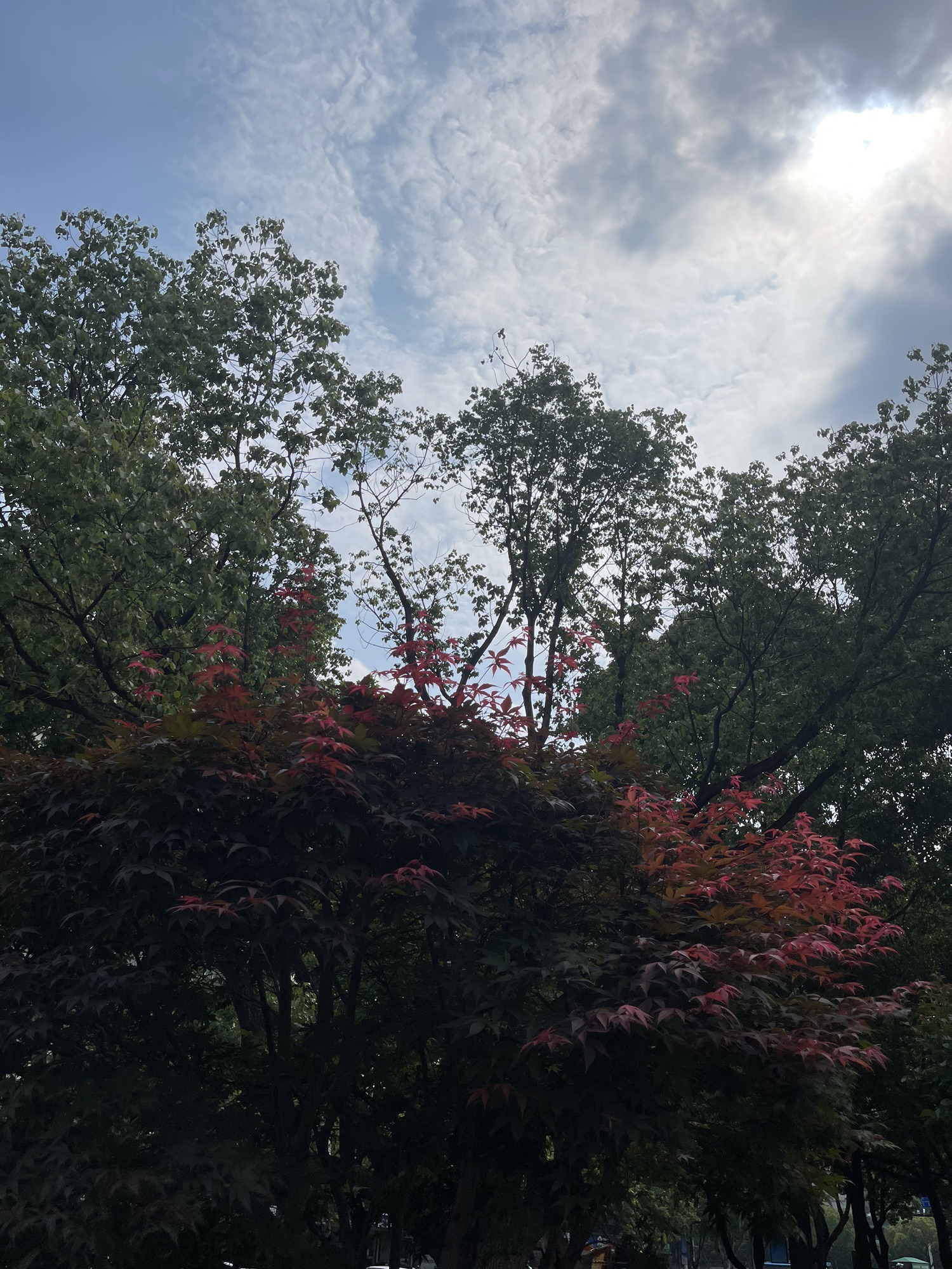 市民广场旅行图片 1