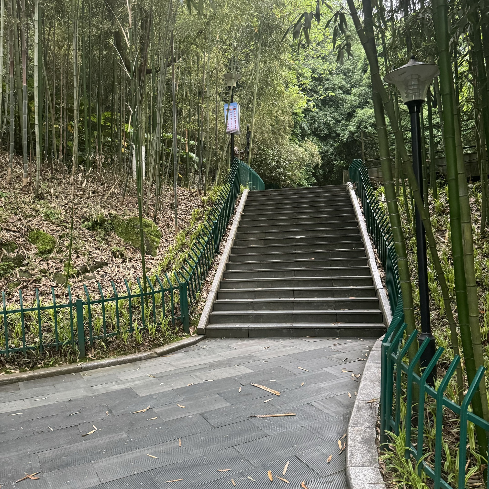 壶山森林公园旅行图片 3