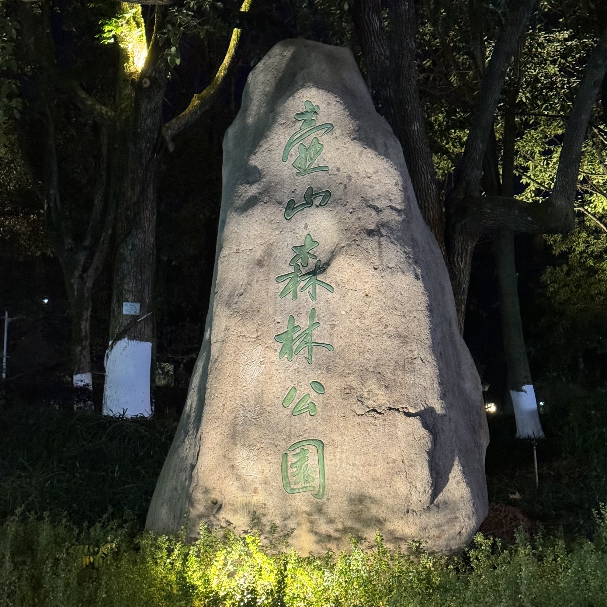 壶山森林公园旅行图片 1