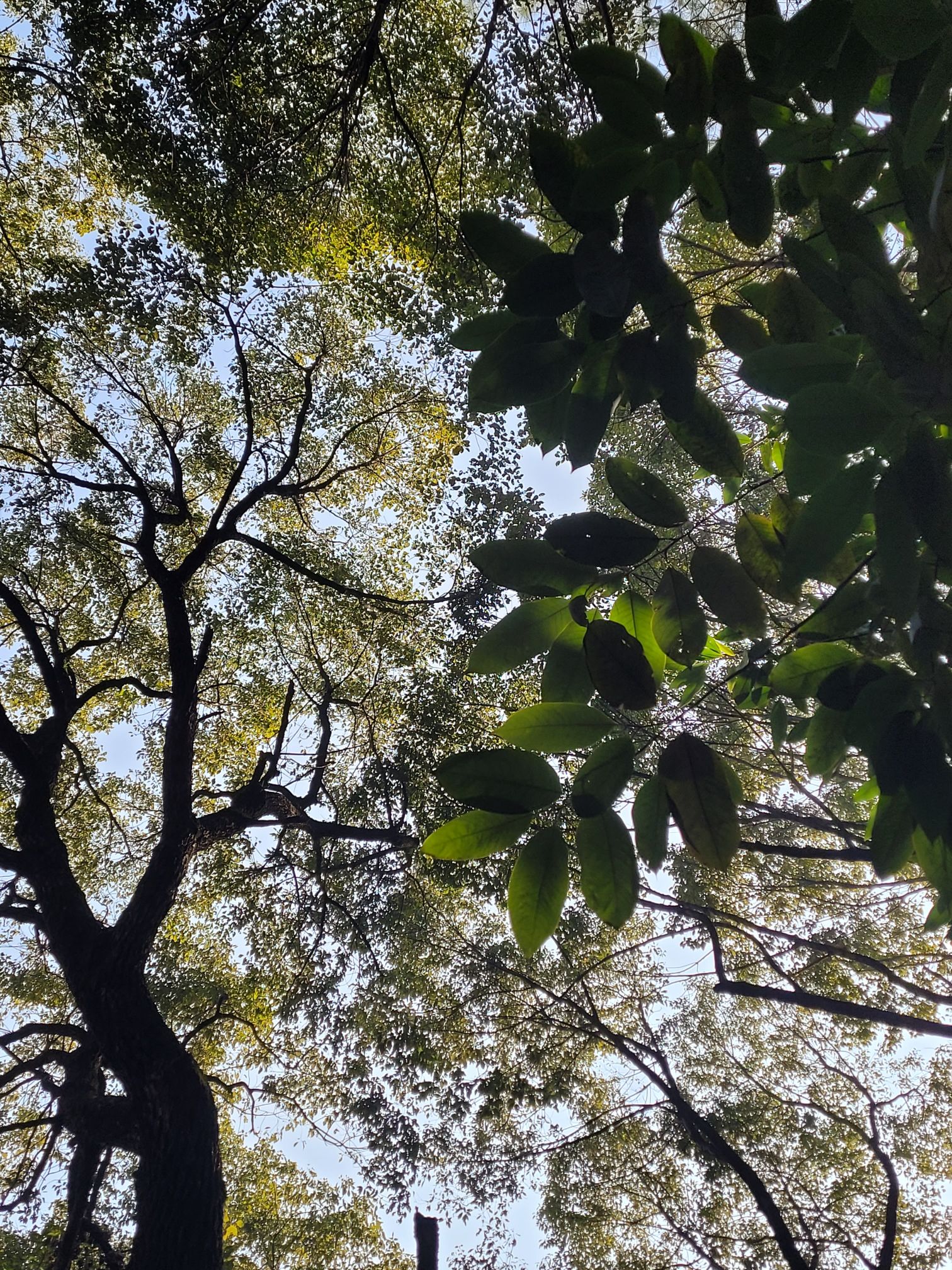 壶山森林公园旅行图片 1
