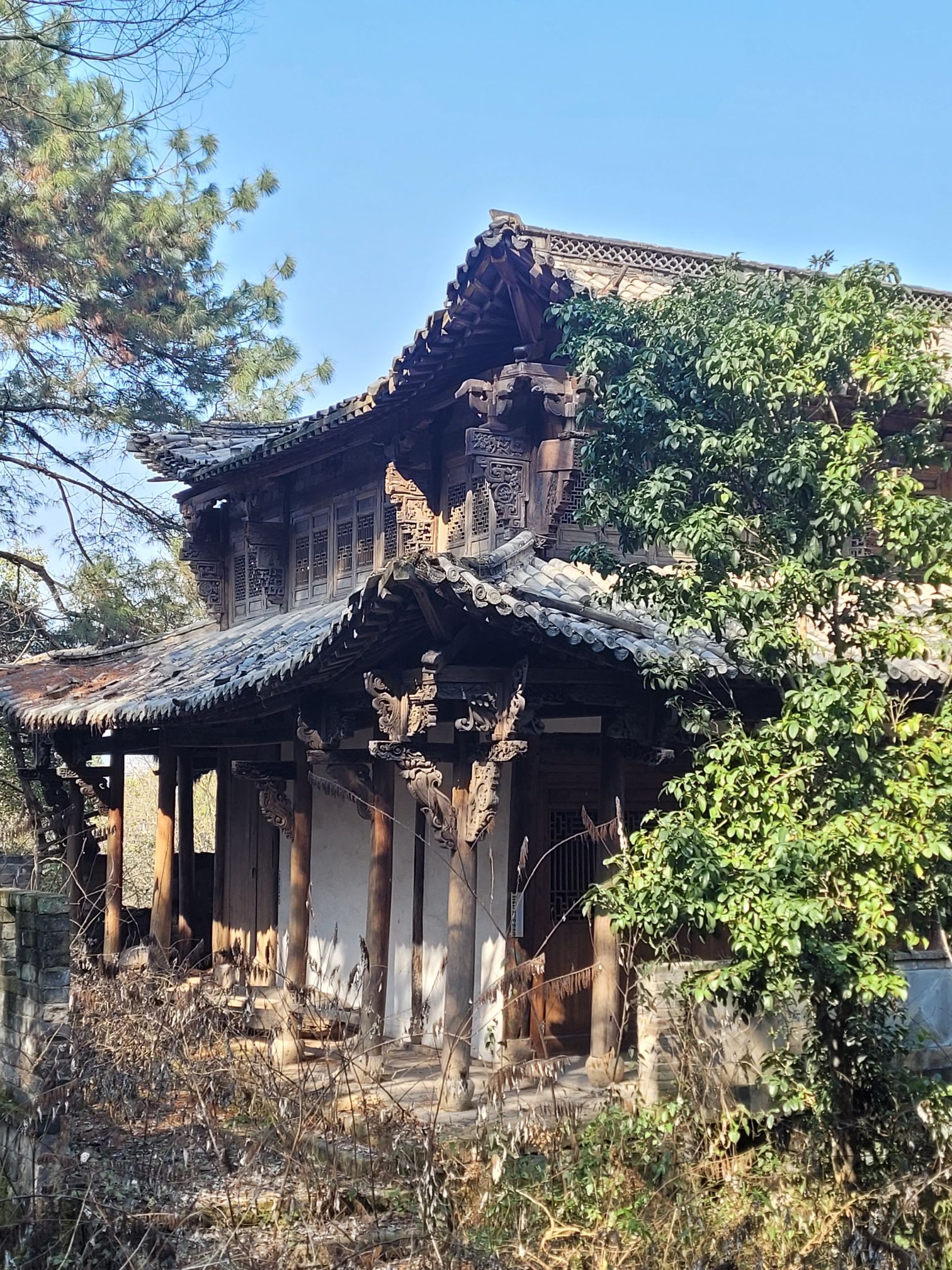 壶山森林公园旅行图片 2