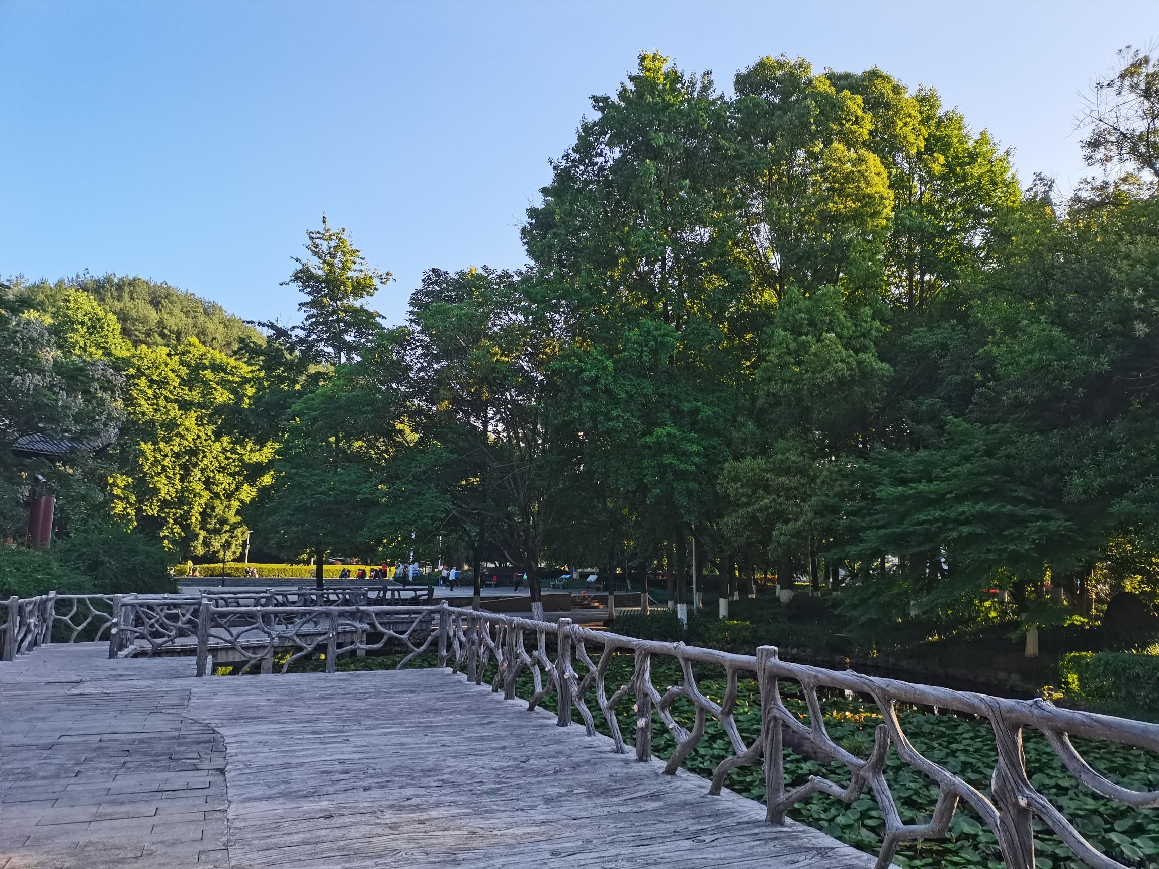 壶山森林公园旅行图片 1