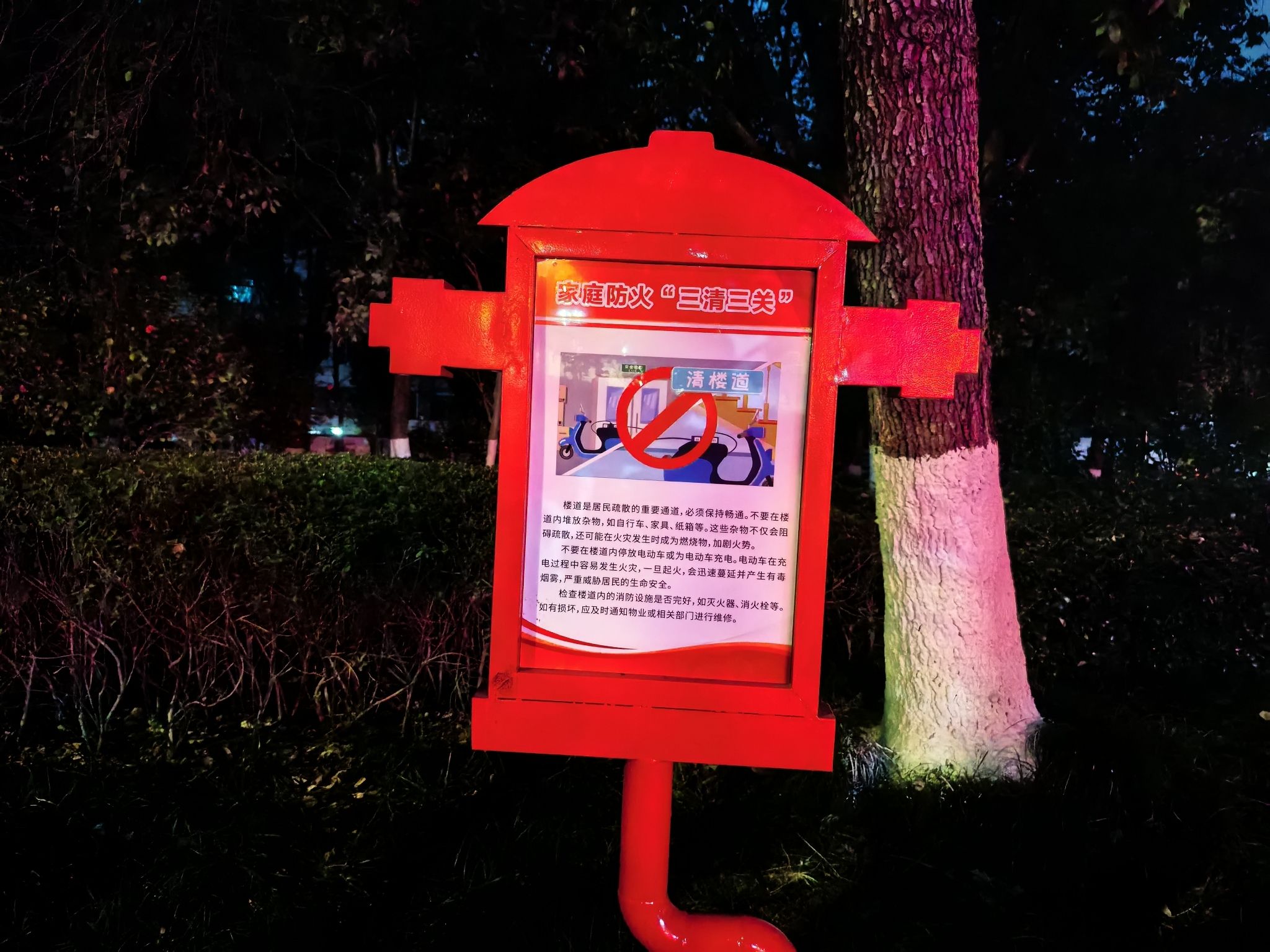 城南公园旅行图片 2