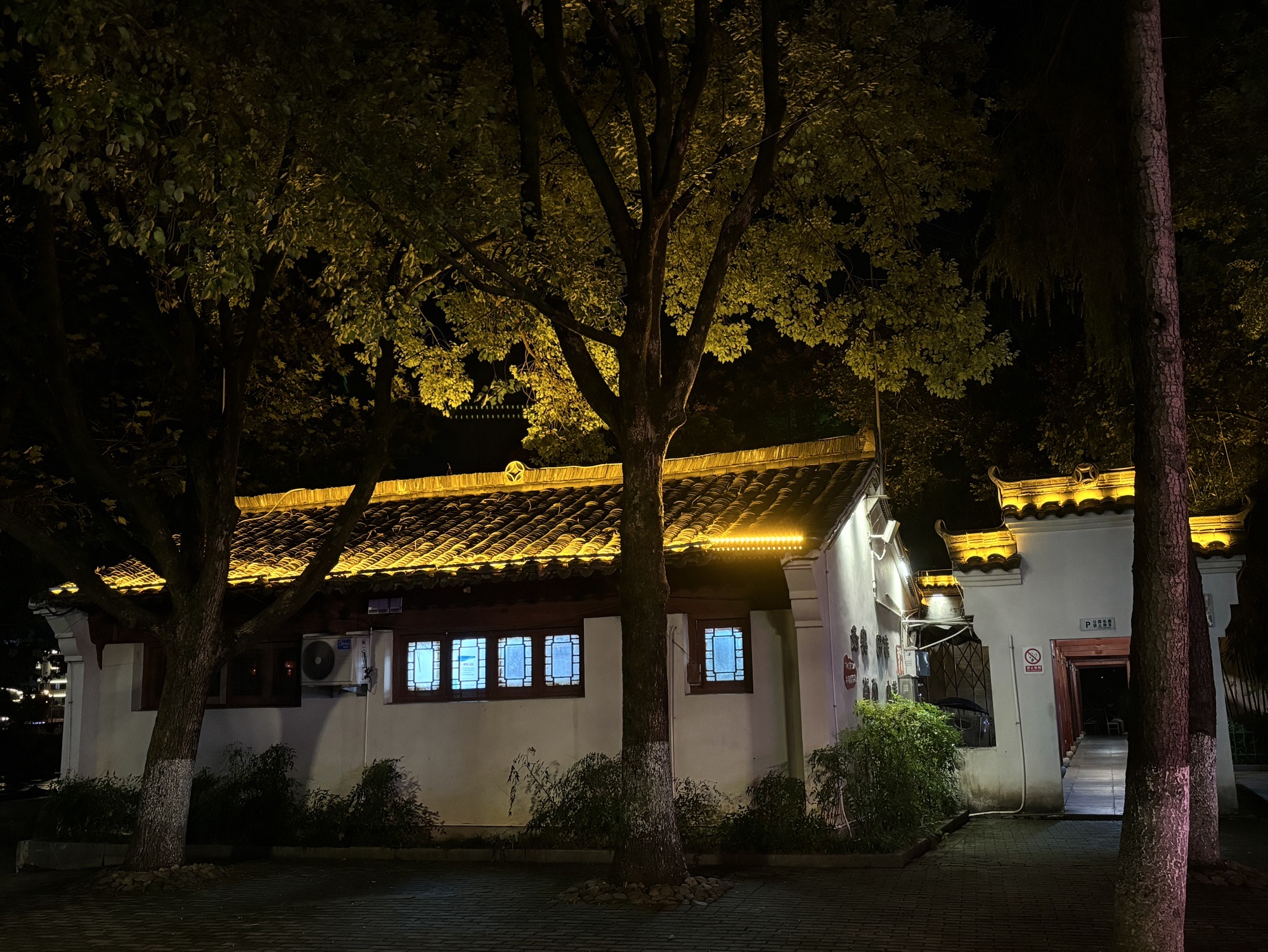 湖畔公园旅行图片 1