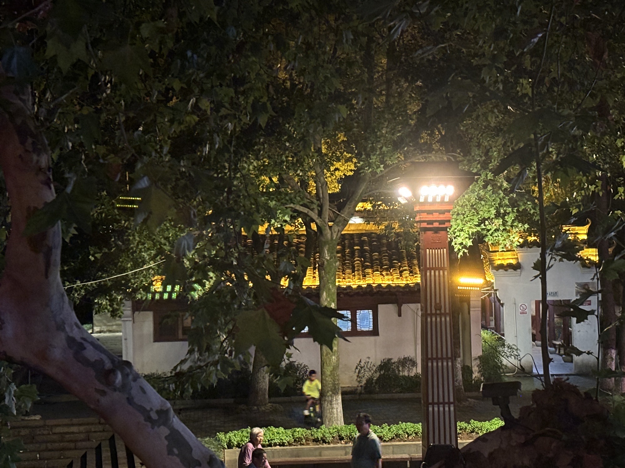 湖畔公园旅行图片 3
