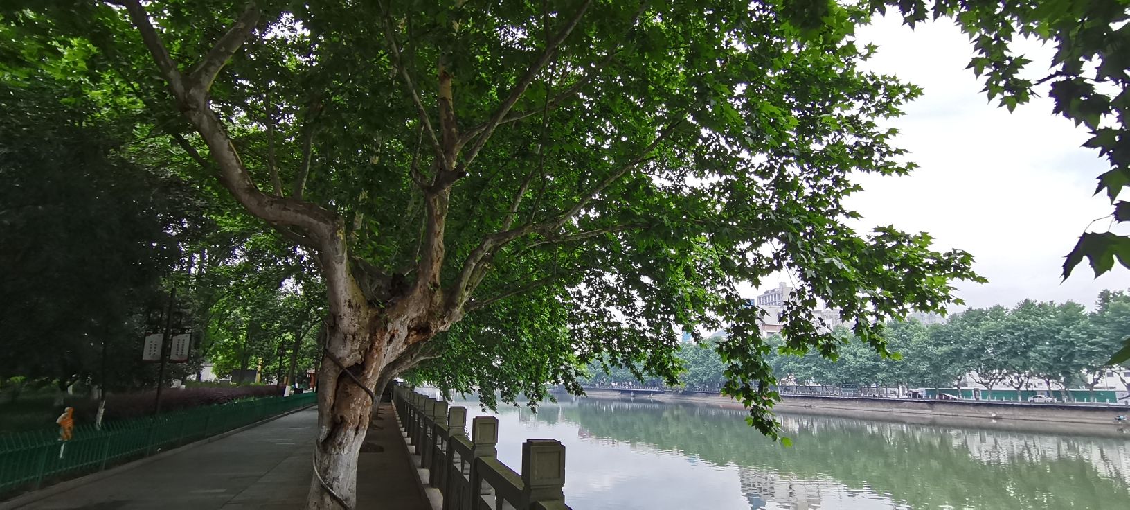 湖畔公园
