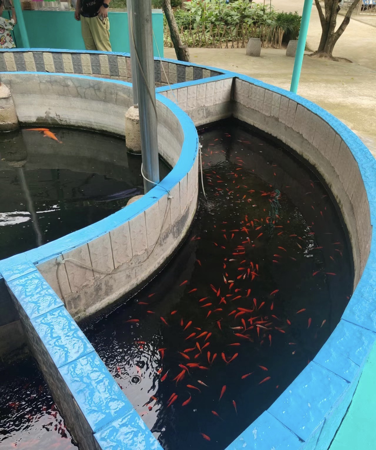 稠州公园旅行图片 2
