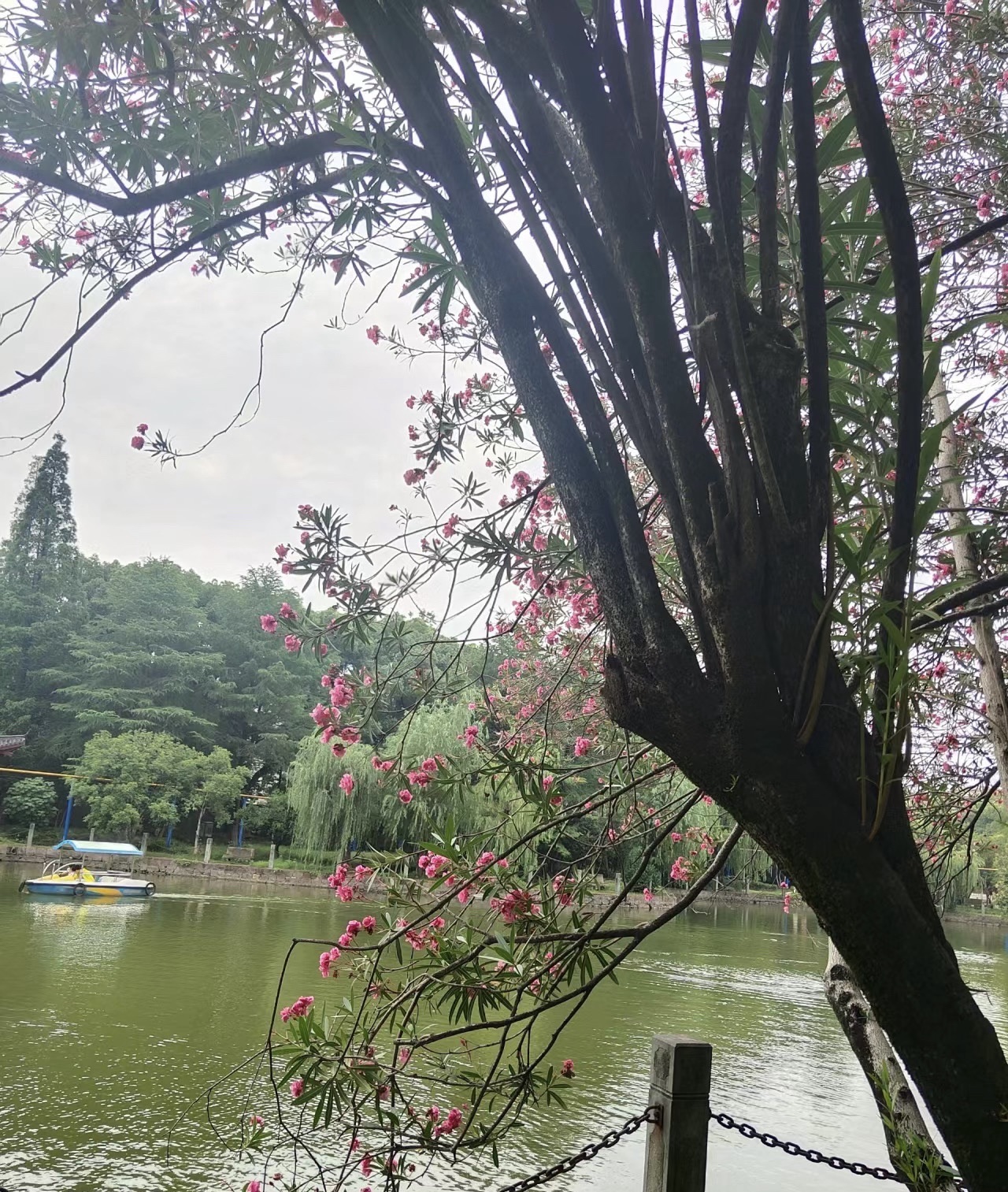 稠州公园旅行图片 3