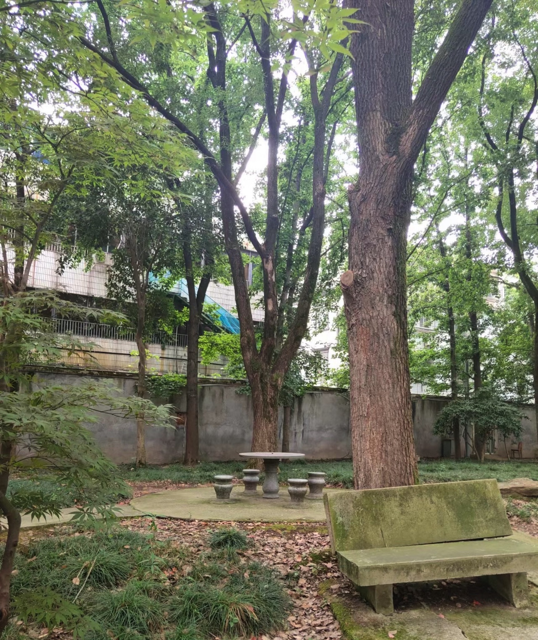 稠州公园旅行图片 1