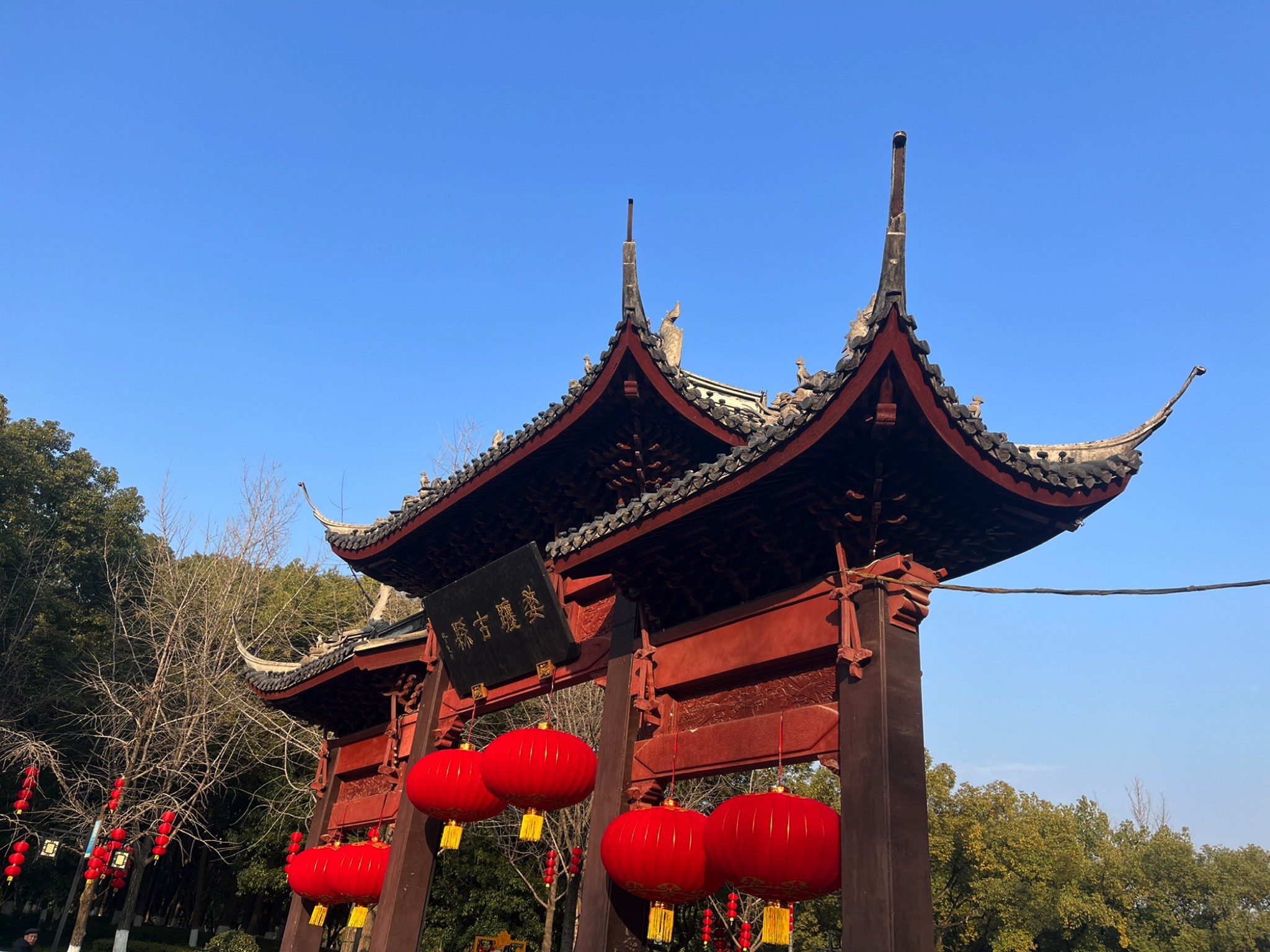 绣湖公园旅行图片 1
