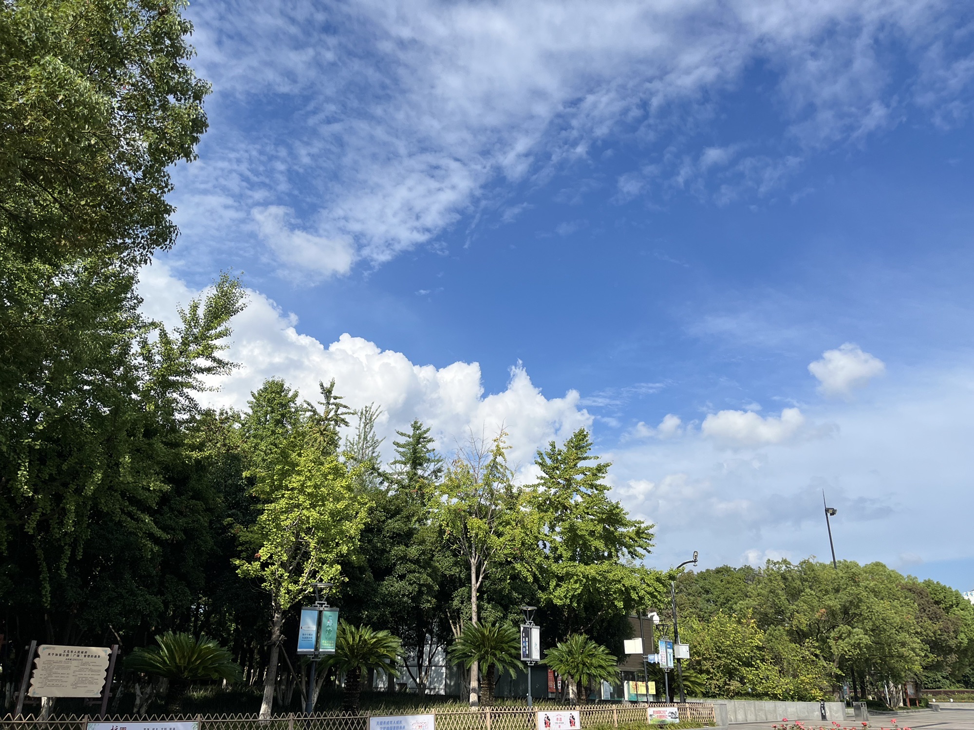 绣湖公园旅行图片 2
