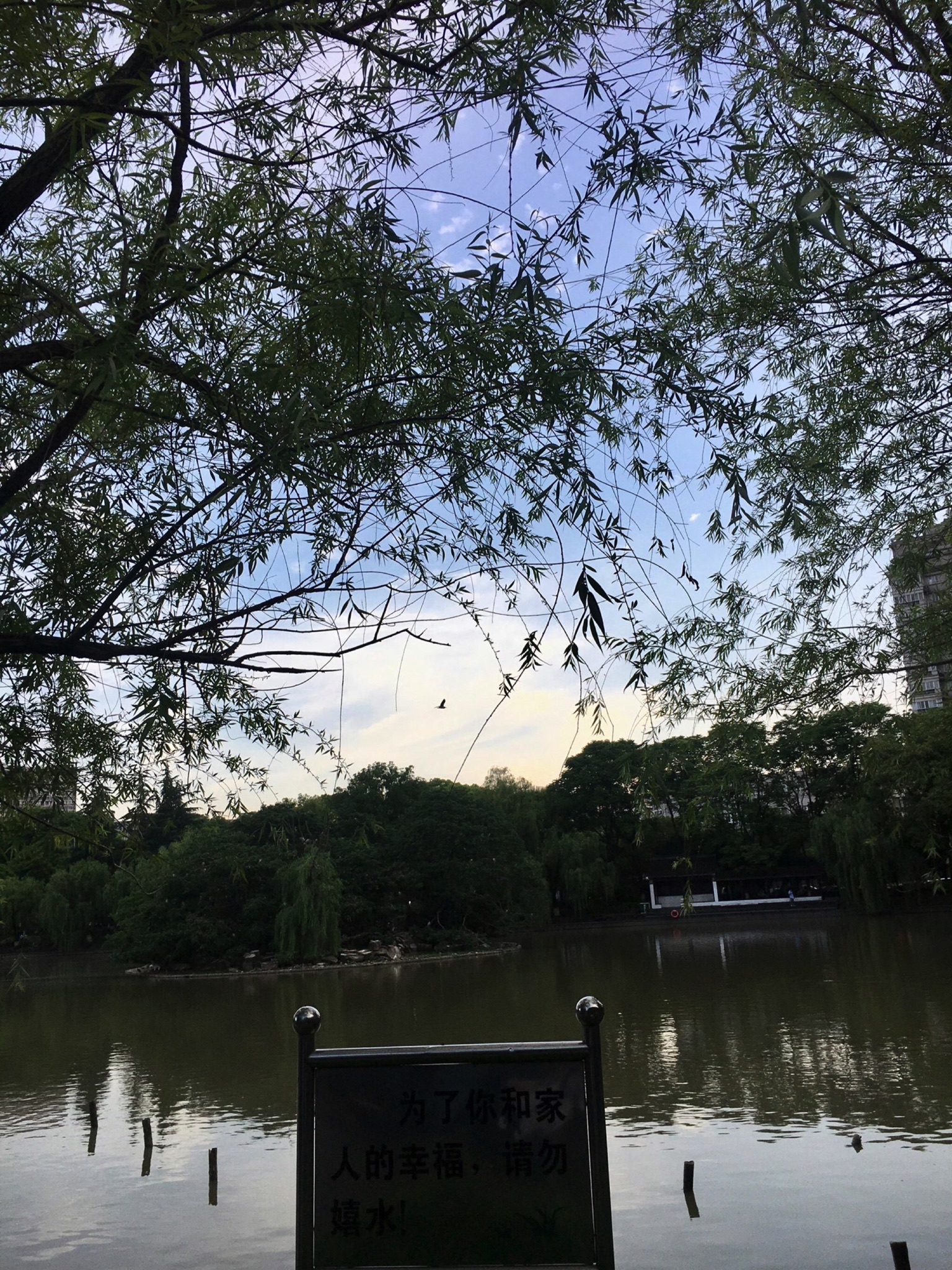 绣湖公园旅行图片 1