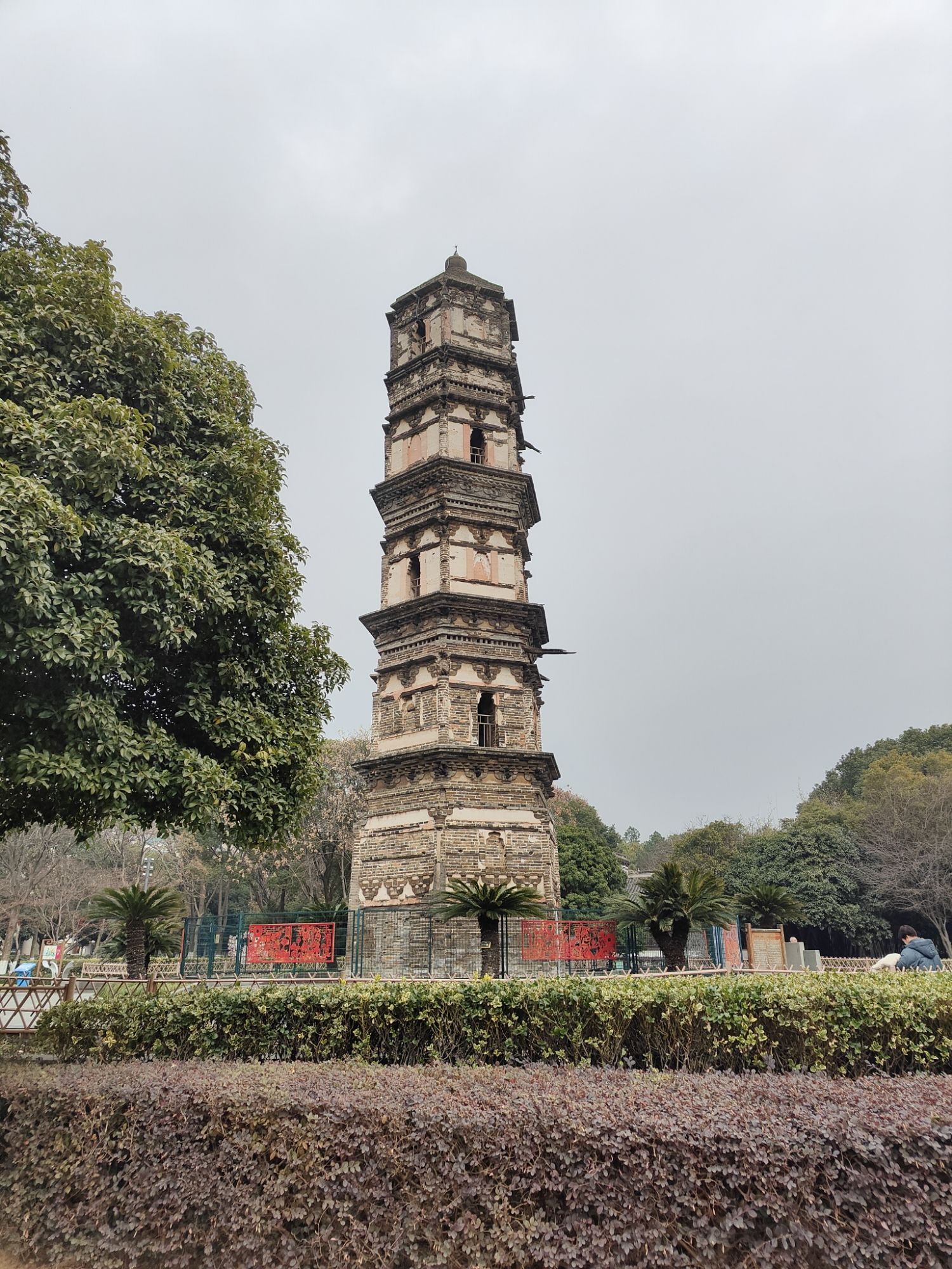 绣湖公园旅行图片 1