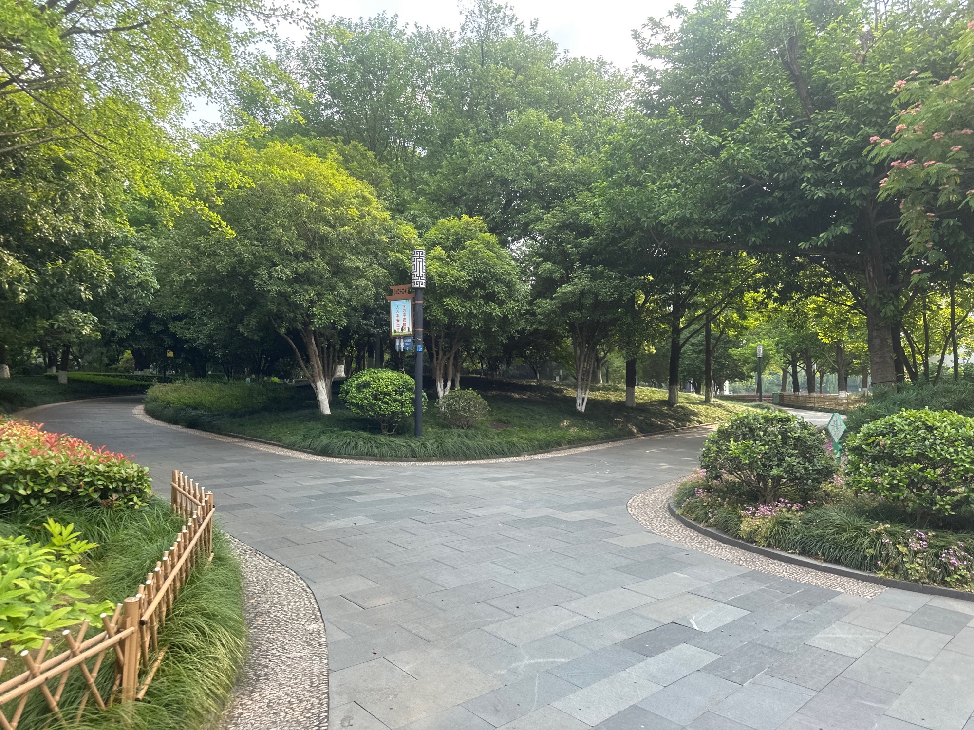 绣湖公园旅行图片 2