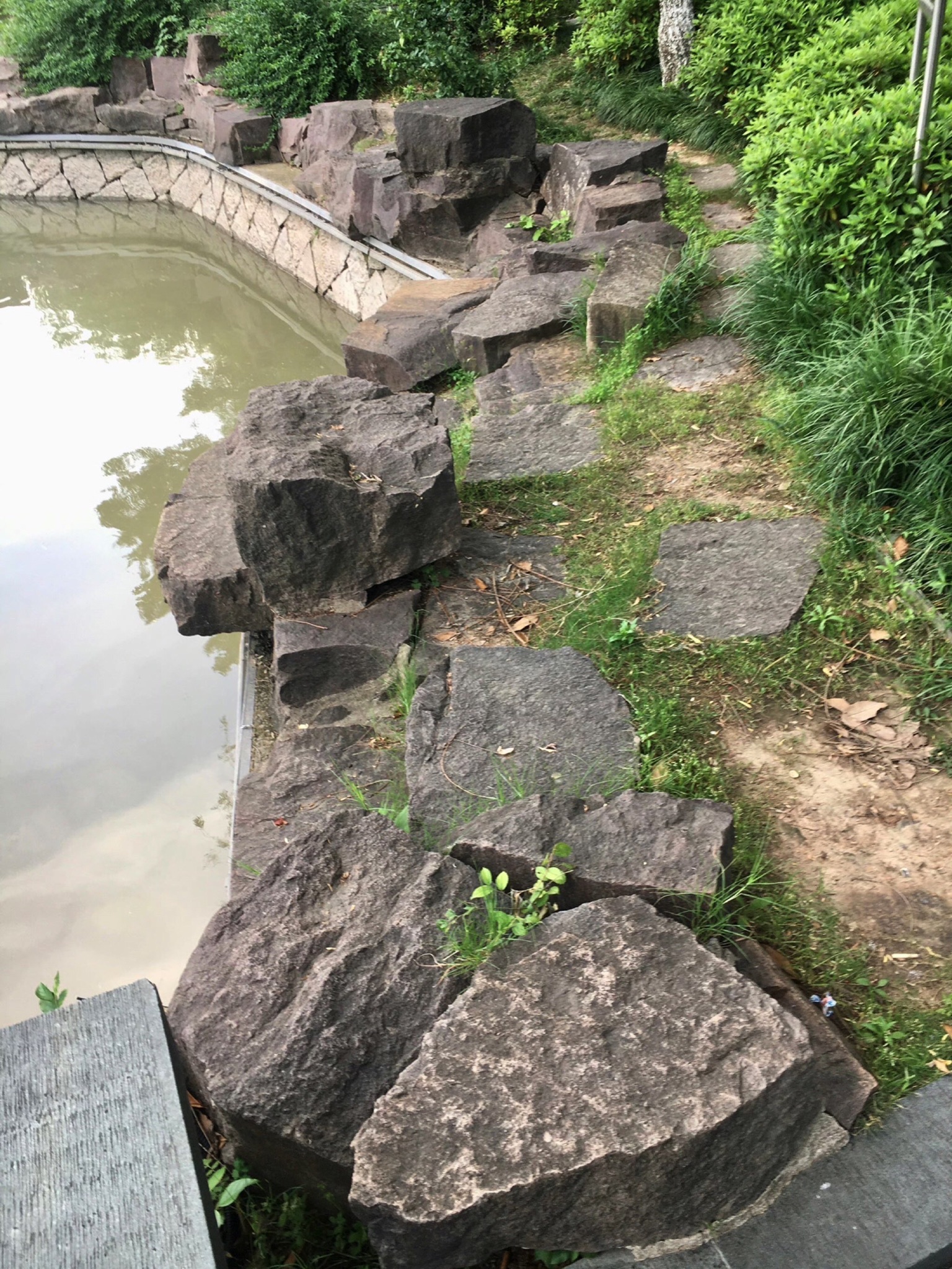 绣湖公园旅行图片 2