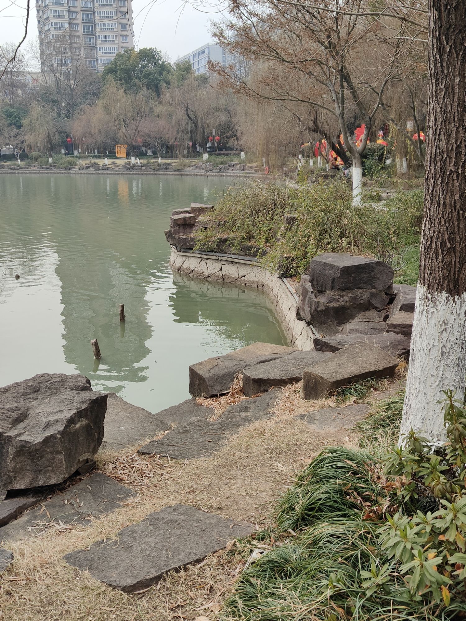 绣湖公园旅行图片 3