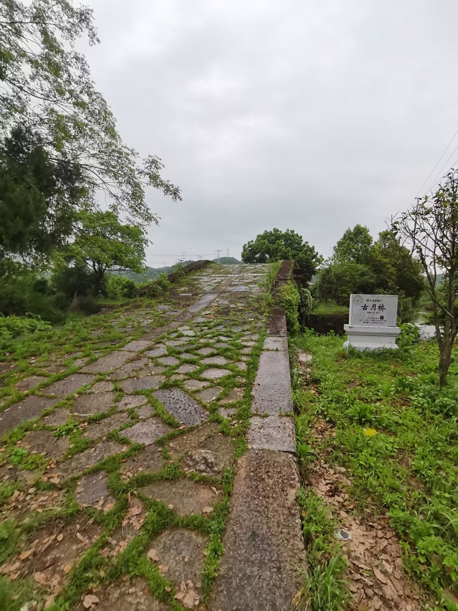 古月桥旅行图片 2