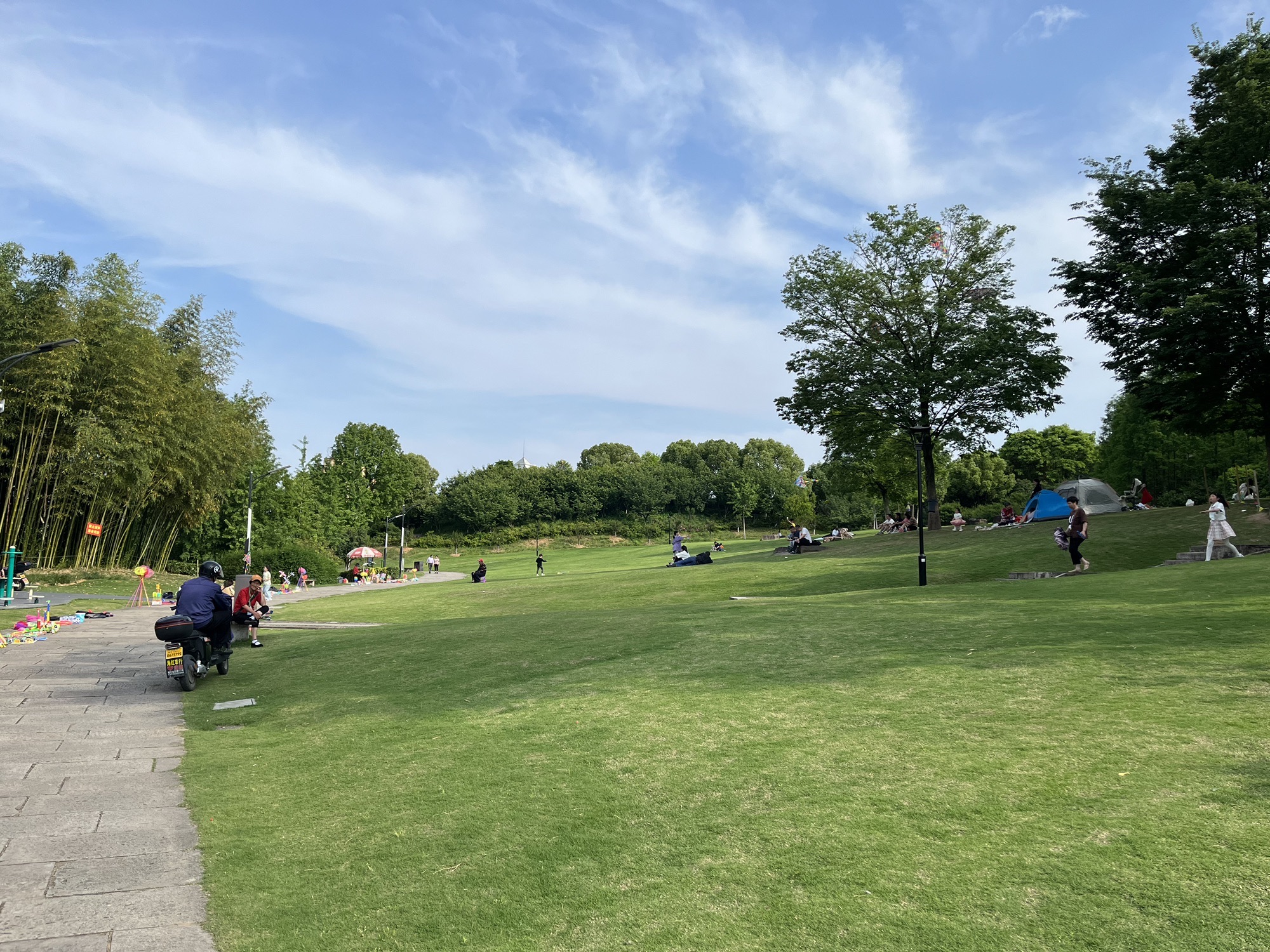 东山公园旅行图片 1