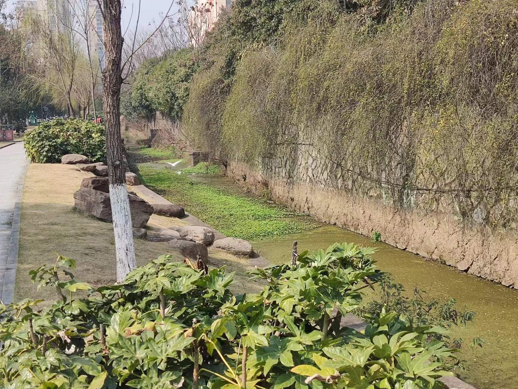 西山森林公园旅行图片 2