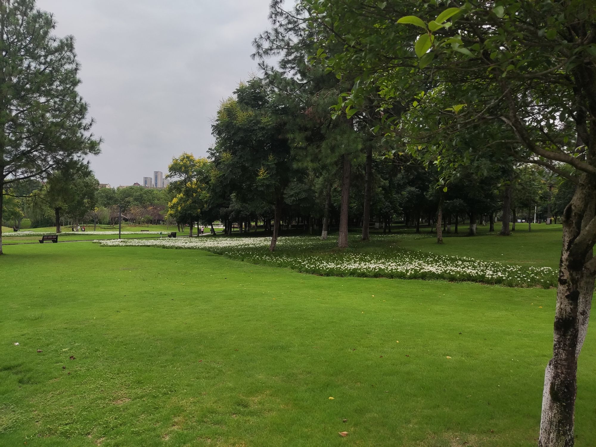 西山森林公园旅行图片 3