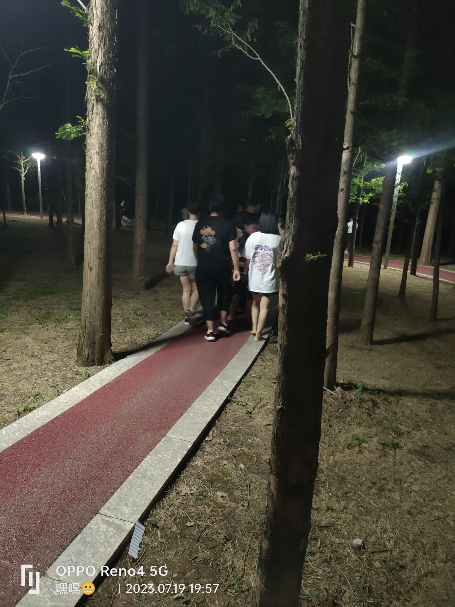 香樟公园旅行图片 2