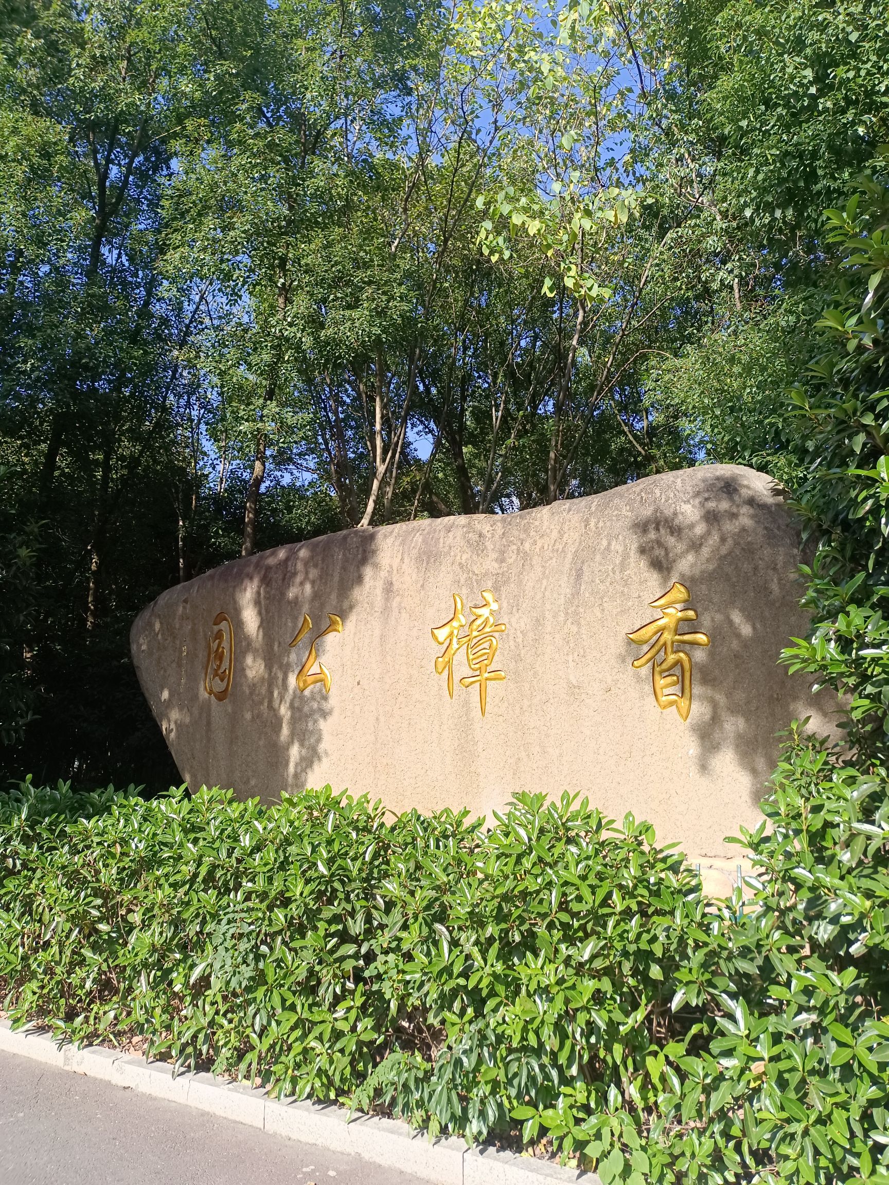香樟公园旅行图片 3
