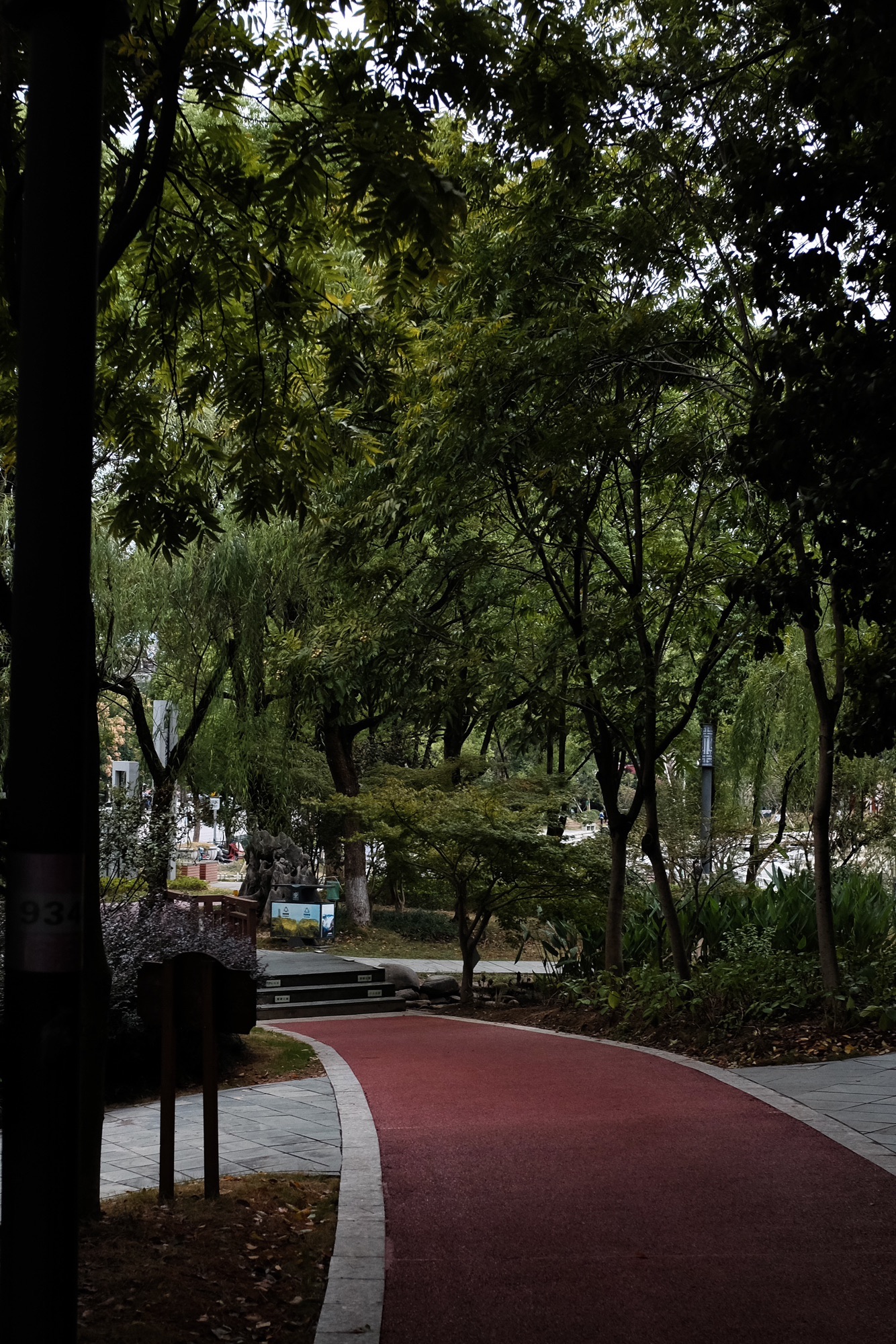 香樟公园旅行图片 2