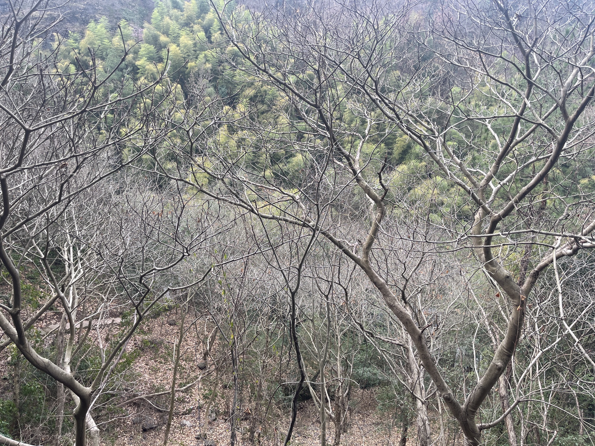 三都胜境旅行图片 1